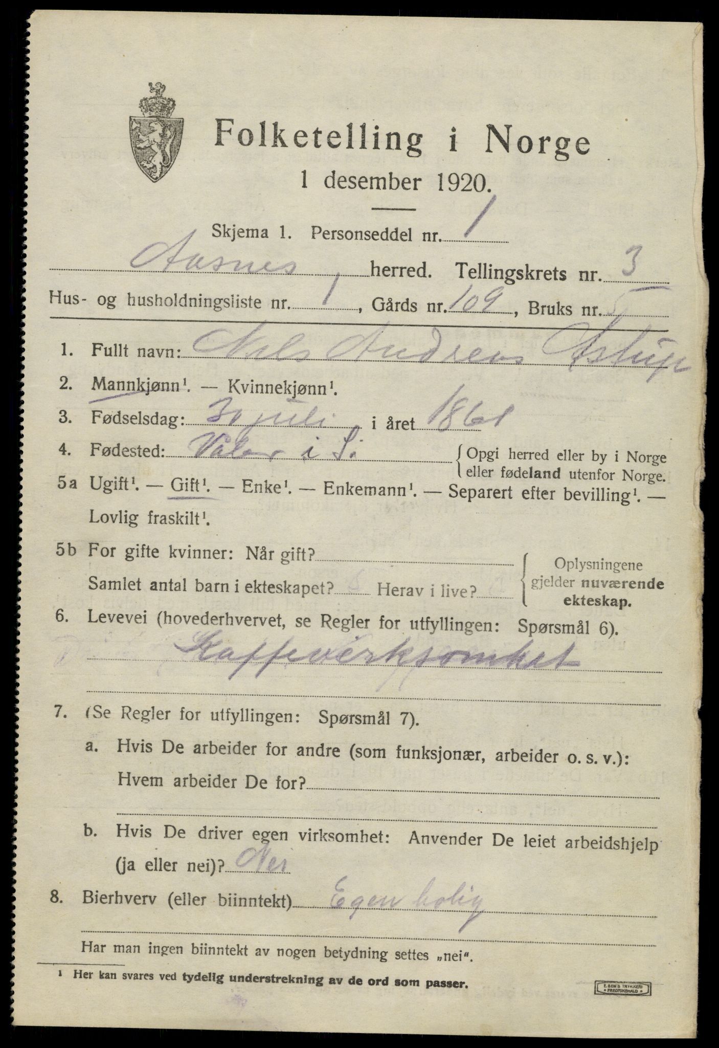 SAH, 1920 census for Åsnes, 1920, p. 3602