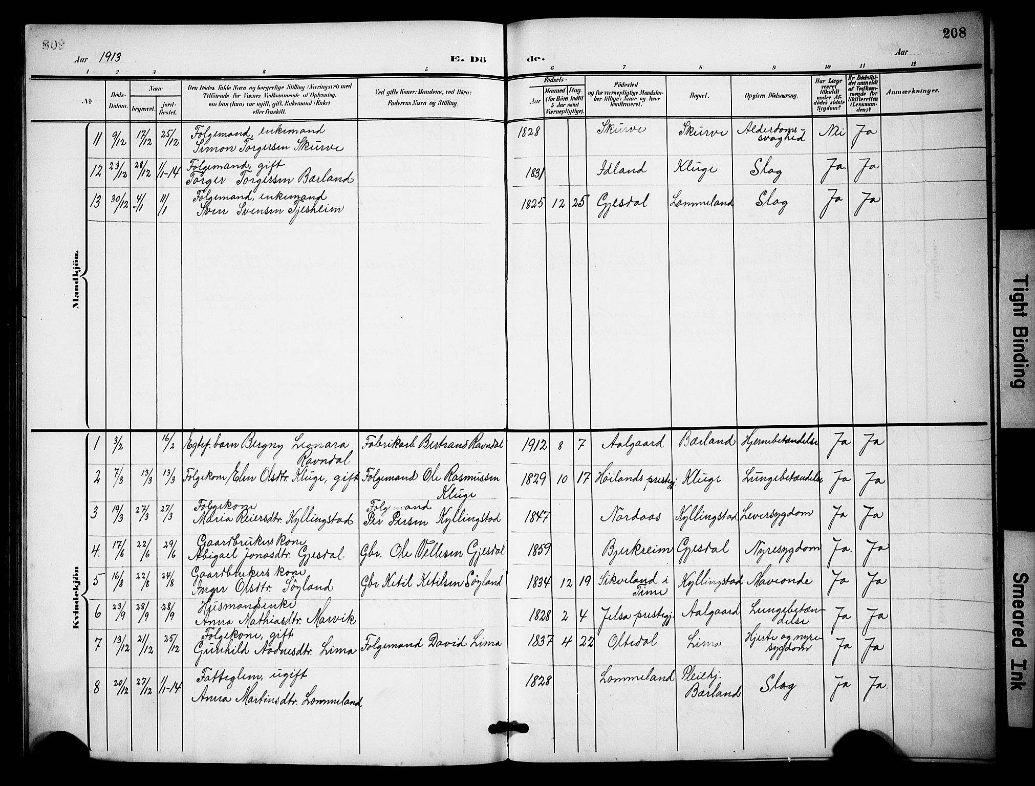 Lye sokneprestkontor, AV/SAST-A-101794/001/30BB/L0009: Parish register (copy) no. B 9, 1902-1923, p. 208