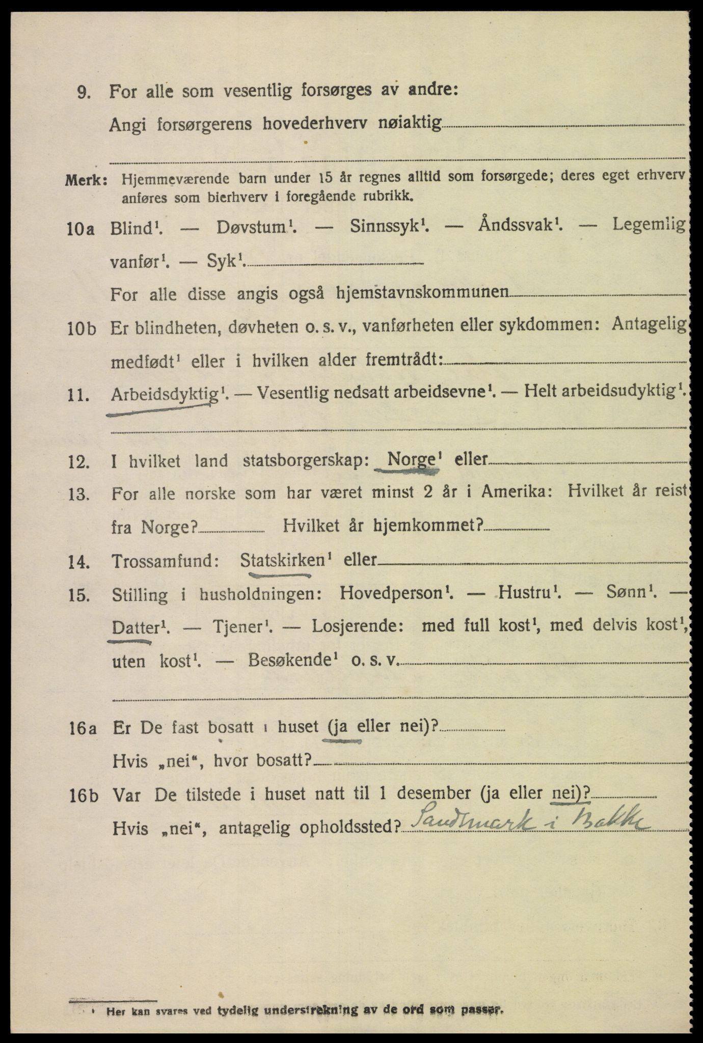 SAK, 1920 census for Bakke, 1920, p. 3117