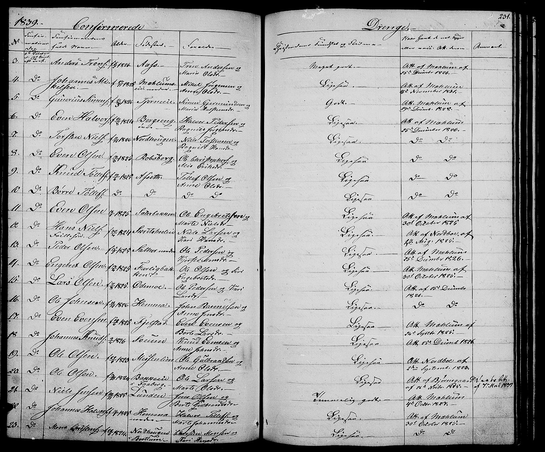 Ringsaker prestekontor, AV/SAH-PREST-014/L/La/L0005: Parish register (copy) no. 5, 1839-1850, p. 231