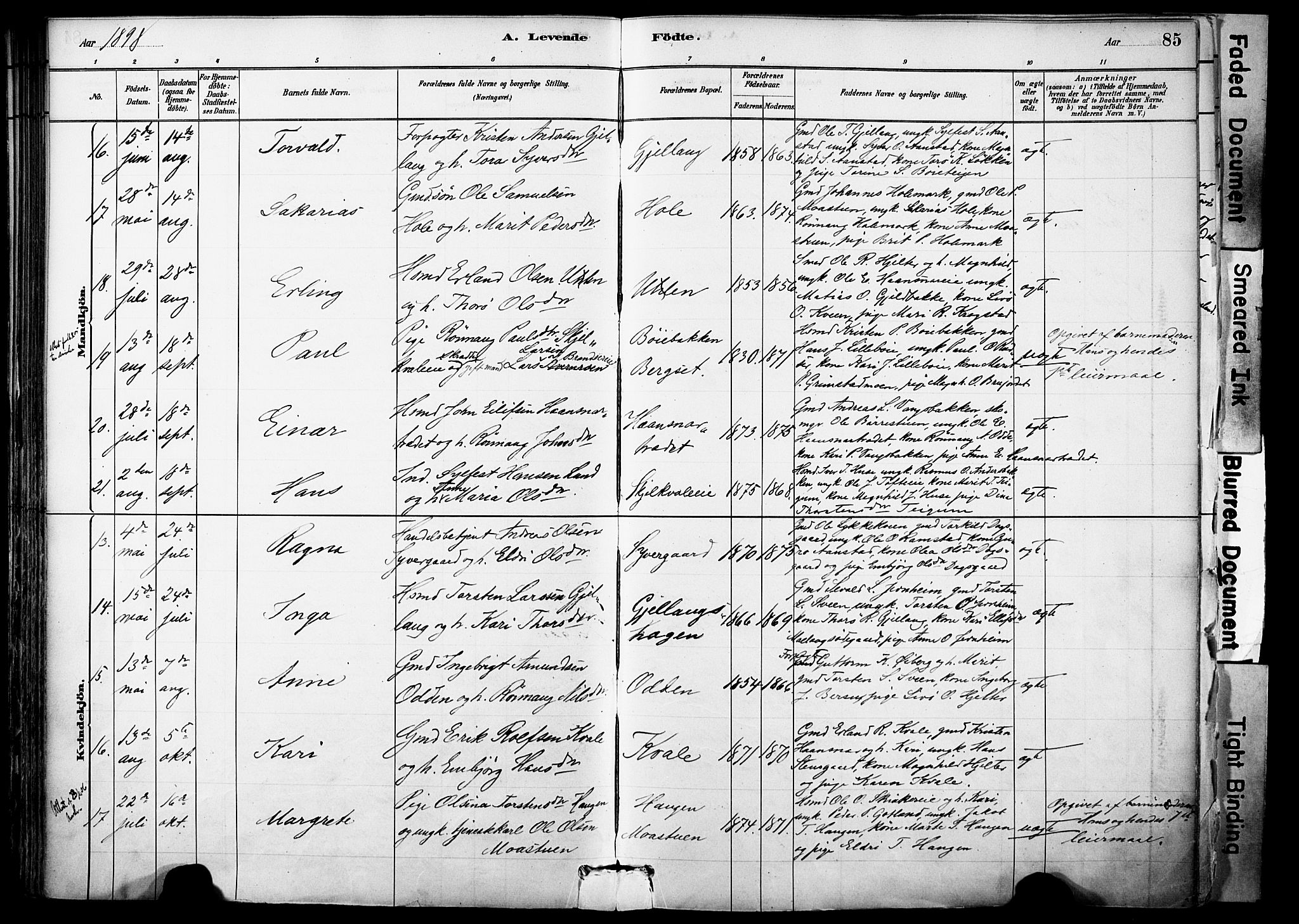 Skjåk prestekontor, SAH/PREST-072/H/Ha/Haa/L0003: Parish register (official) no. 3, 1880-1907, p. 85