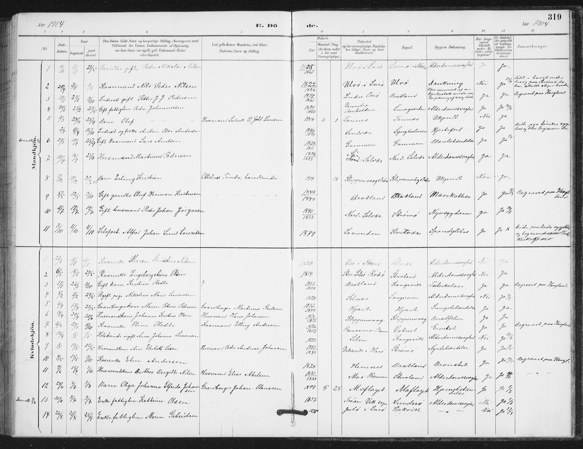 Ministerialprotokoller, klokkerbøker og fødselsregistre - Nordland, SAT/A-1459/839/L0573: Parish register (copy) no. 839C03, 1892-1917, p. 319