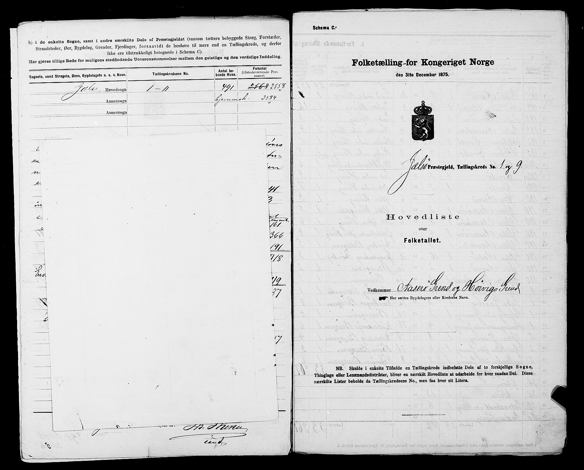 SAST, 1875 census for 1138P Jelsa, 1875, p. 4
