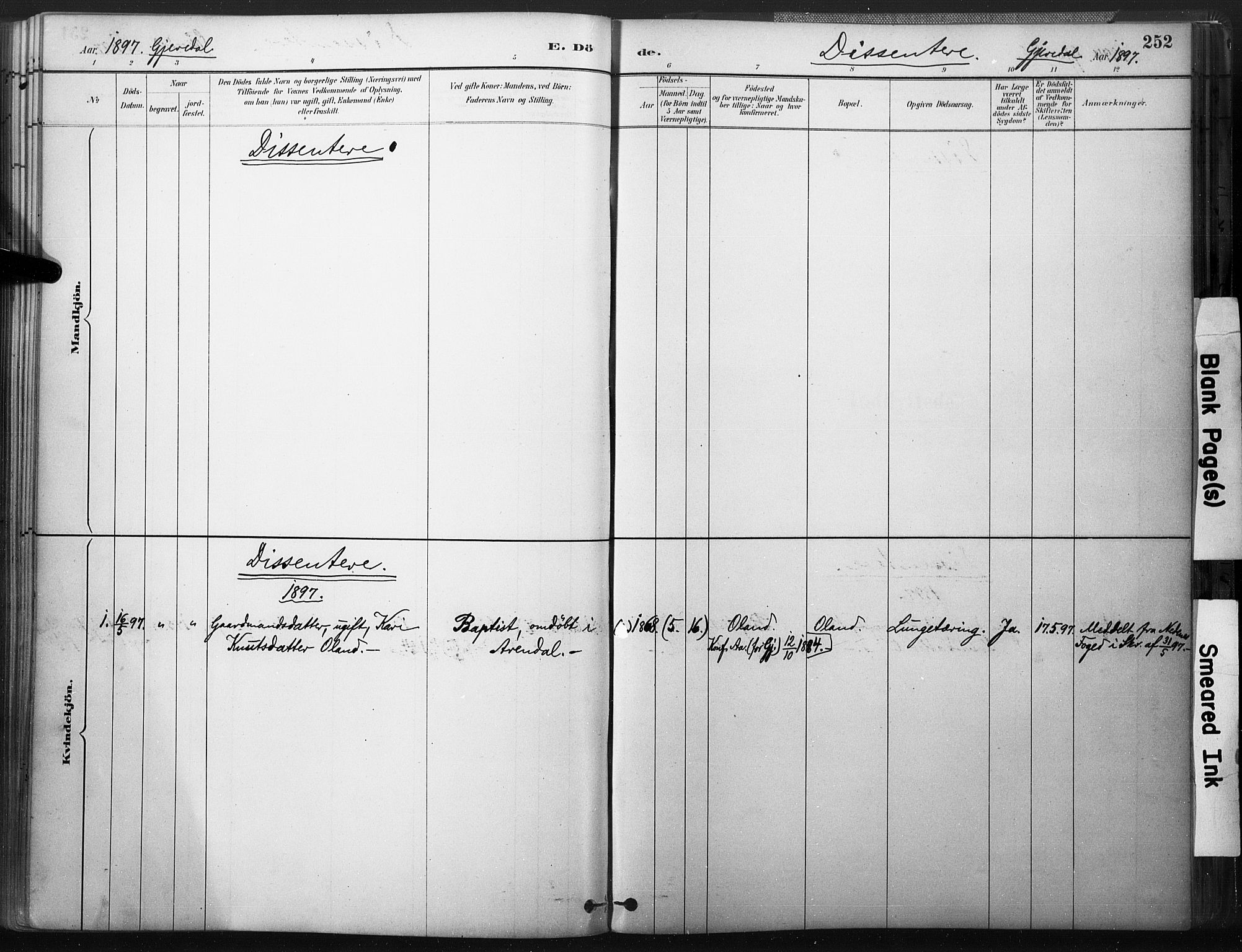 Åmli sokneprestkontor, SAK/1111-0050/F/Fa/Fac/L0010: Parish register (official) no. A 10 /2, 1885-1899, p. 252