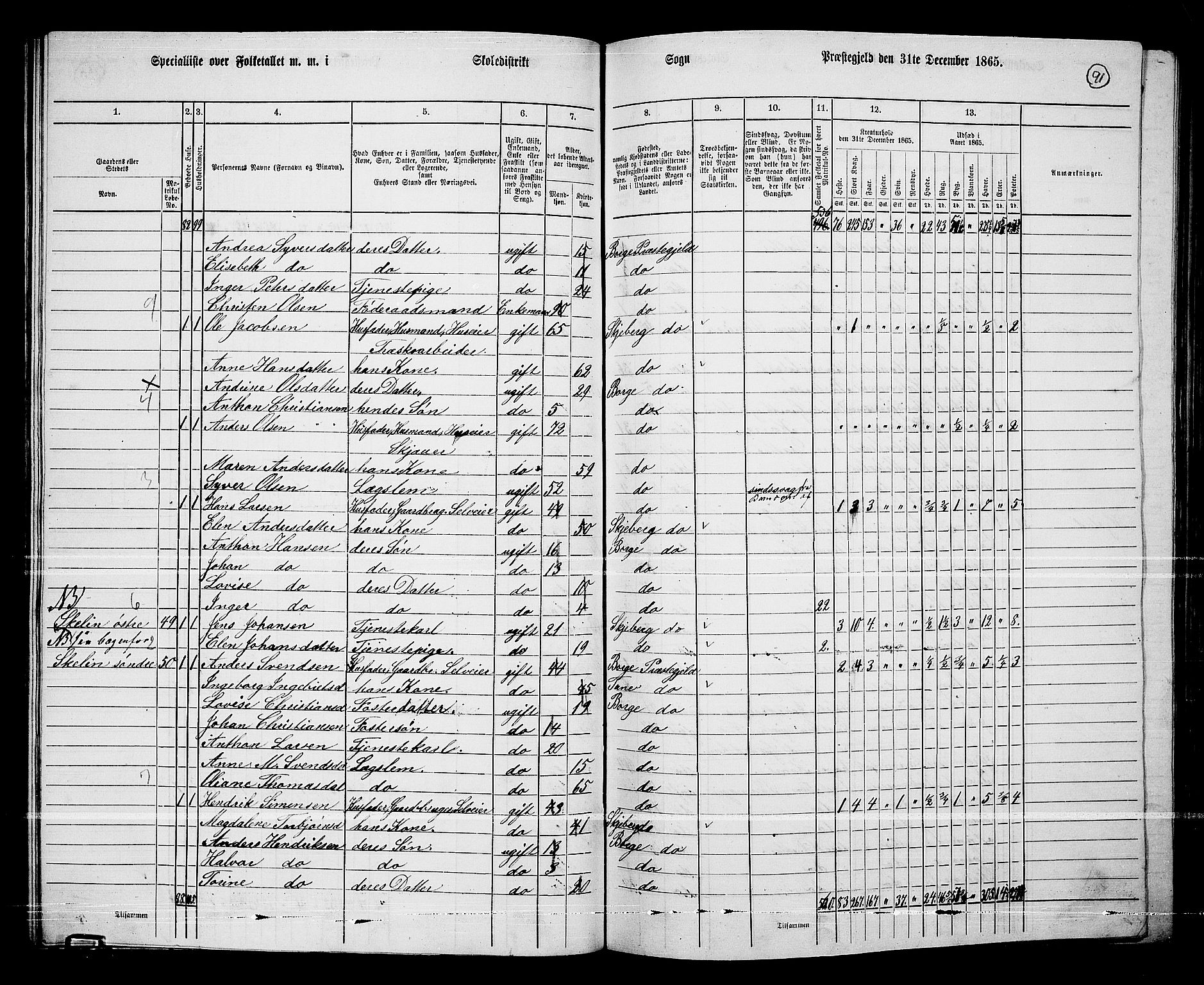 RA, 1865 census for Borge, 1865, p. 86