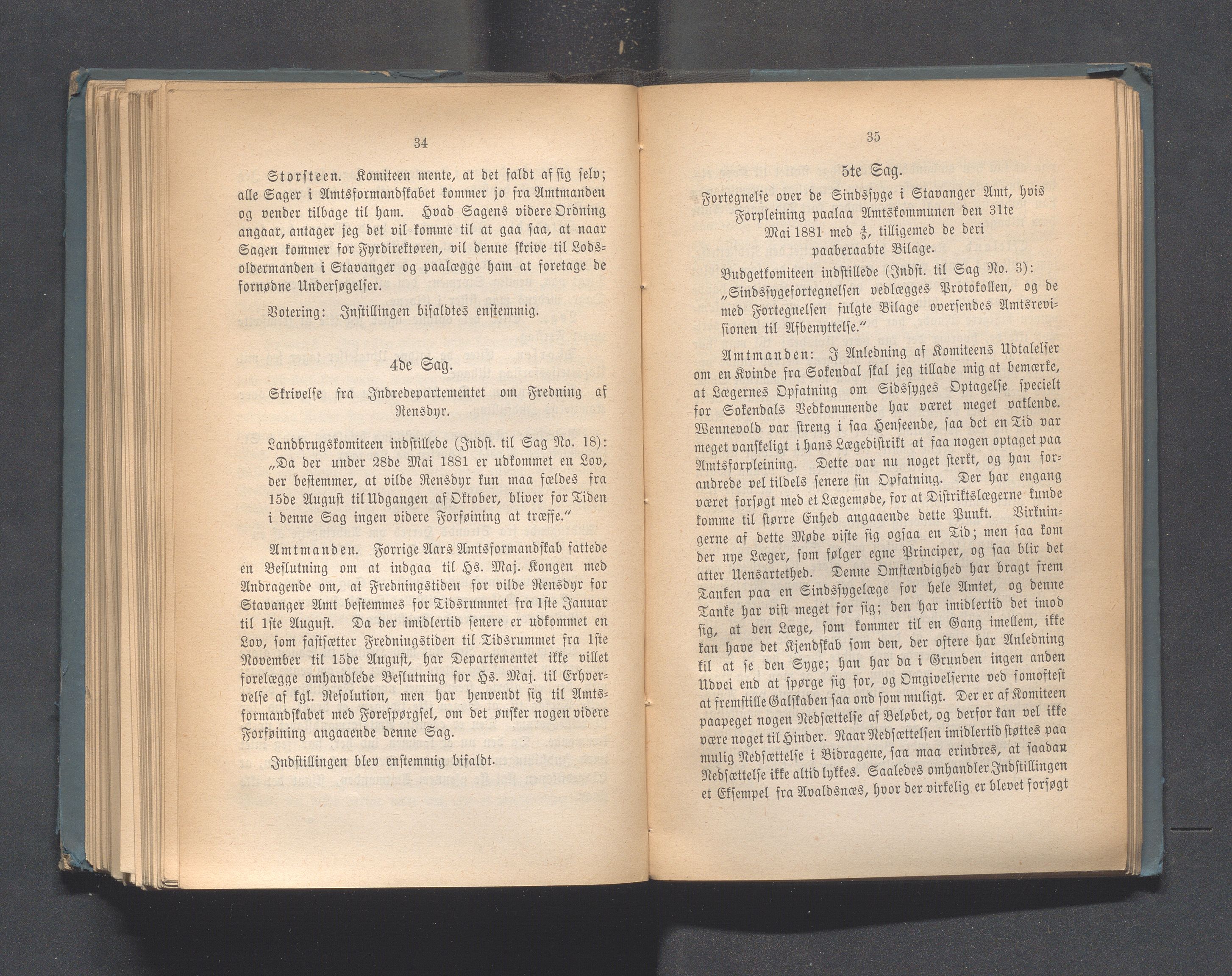 Rogaland fylkeskommune - Fylkesrådmannen , IKAR/A-900/A, 1881, p. 243