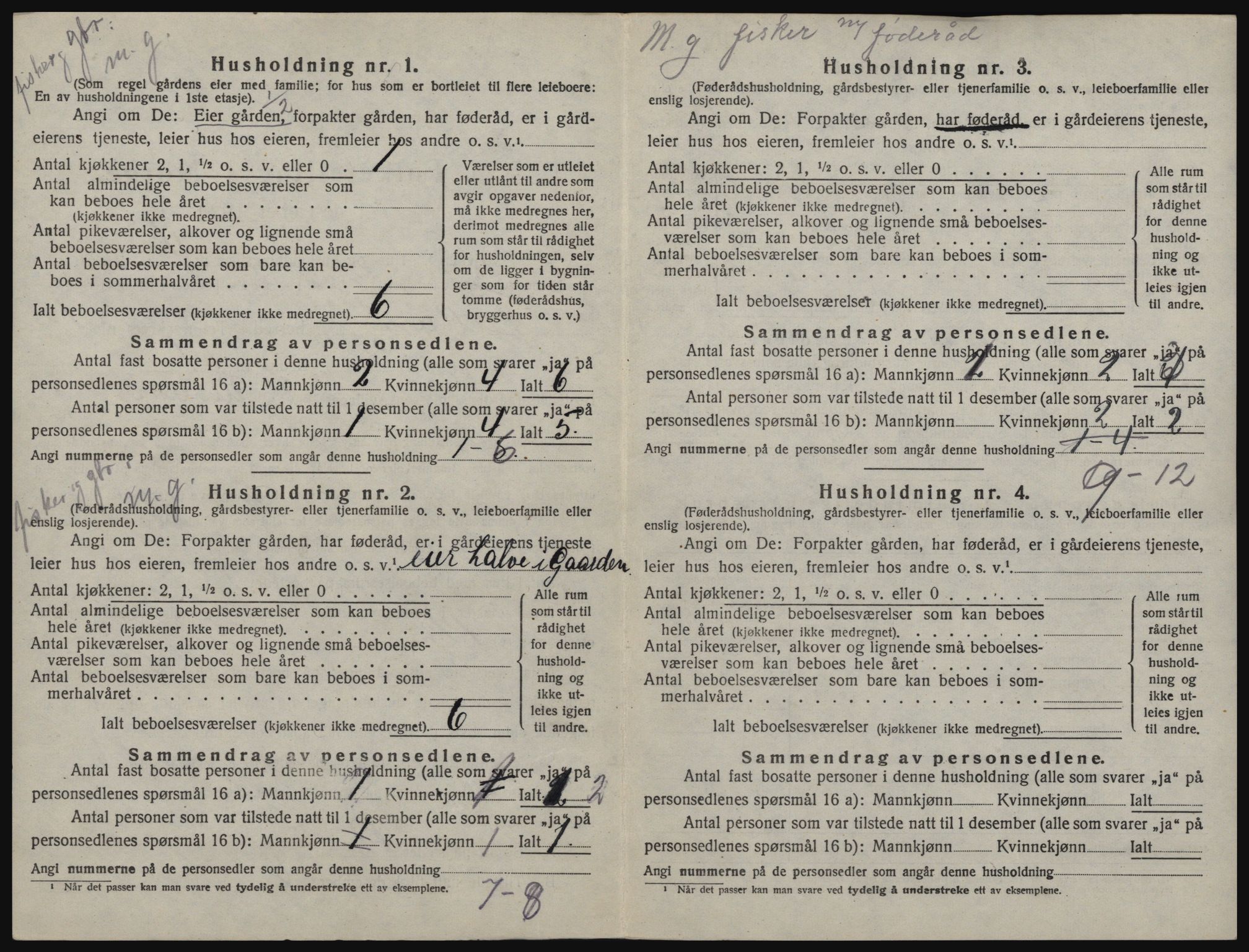 SAT, 1920 census for Fillan, 1920, p. 41