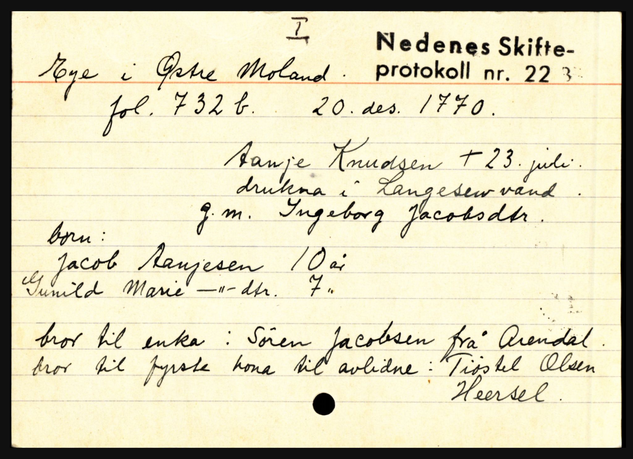 Nedenes sorenskriveri før 1824, AV/SAK-1221-0007/H, p. 6481