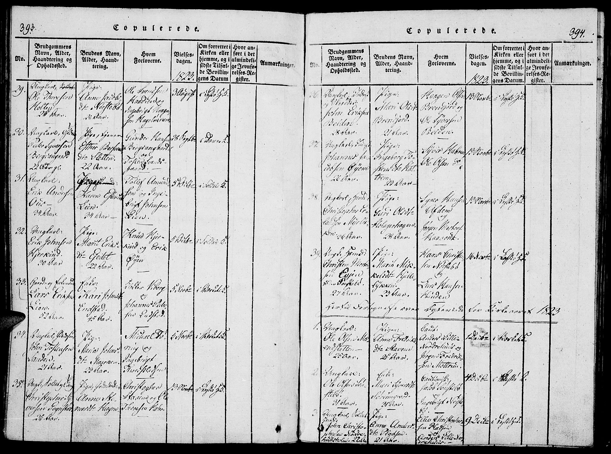 Lesja prestekontor, SAH/PREST-068/H/Ha/Haa/L0004: Parish register (official) no. 4, 1820-1829, p. 393-394