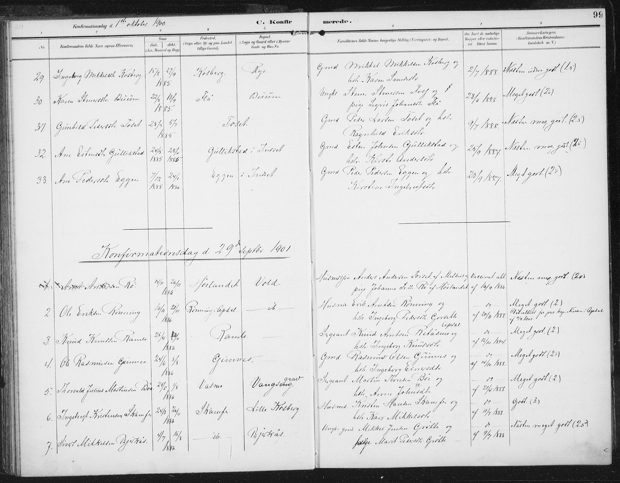 Ministerialprotokoller, klokkerbøker og fødselsregistre - Sør-Trøndelag, SAT/A-1456/674/L0872: Parish register (official) no. 674A04, 1897-1907, p. 99