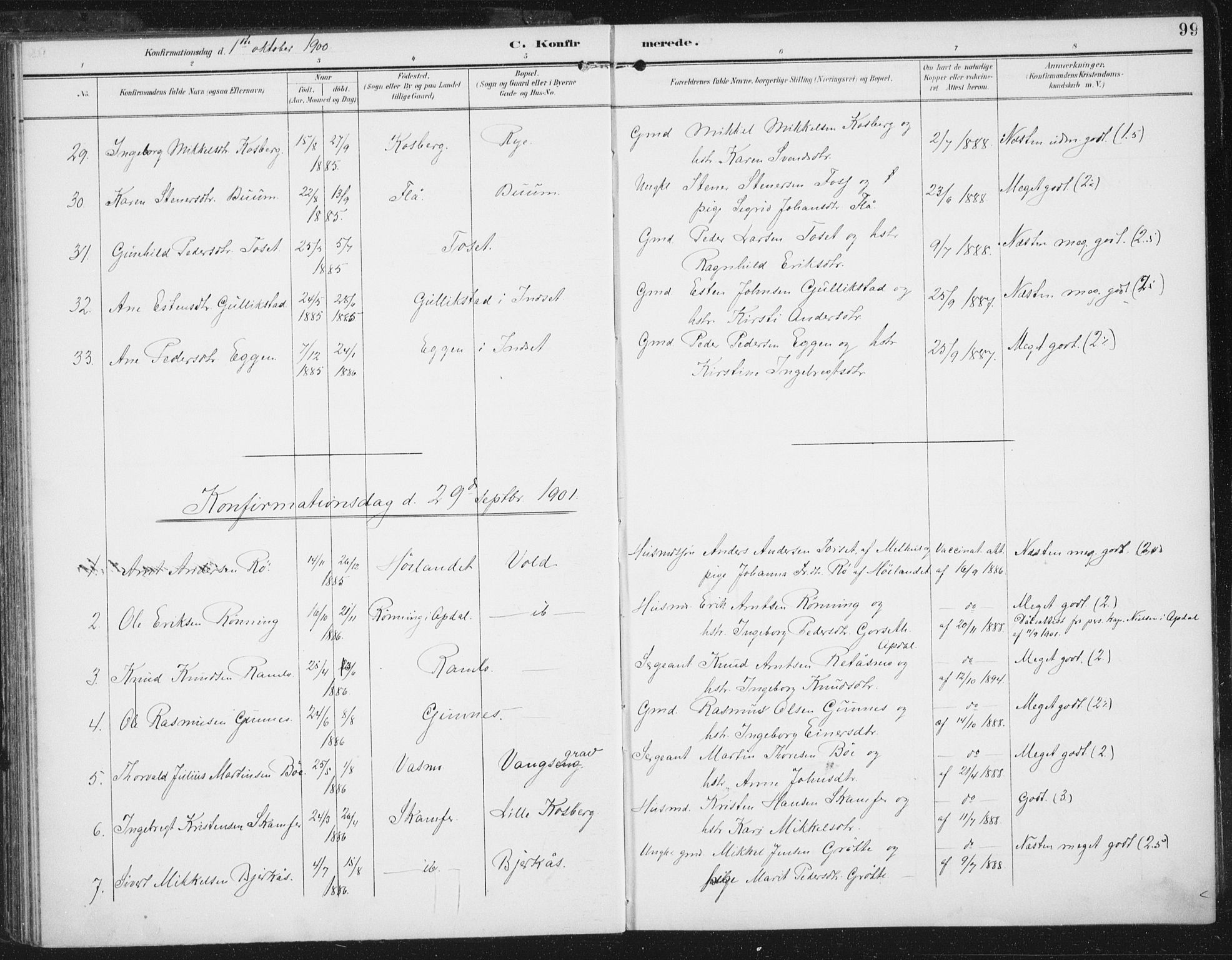 Ministerialprotokoller, klokkerbøker og fødselsregistre - Sør-Trøndelag, AV/SAT-A-1456/674/L0872: Parish register (official) no. 674A04, 1897-1907, p. 99