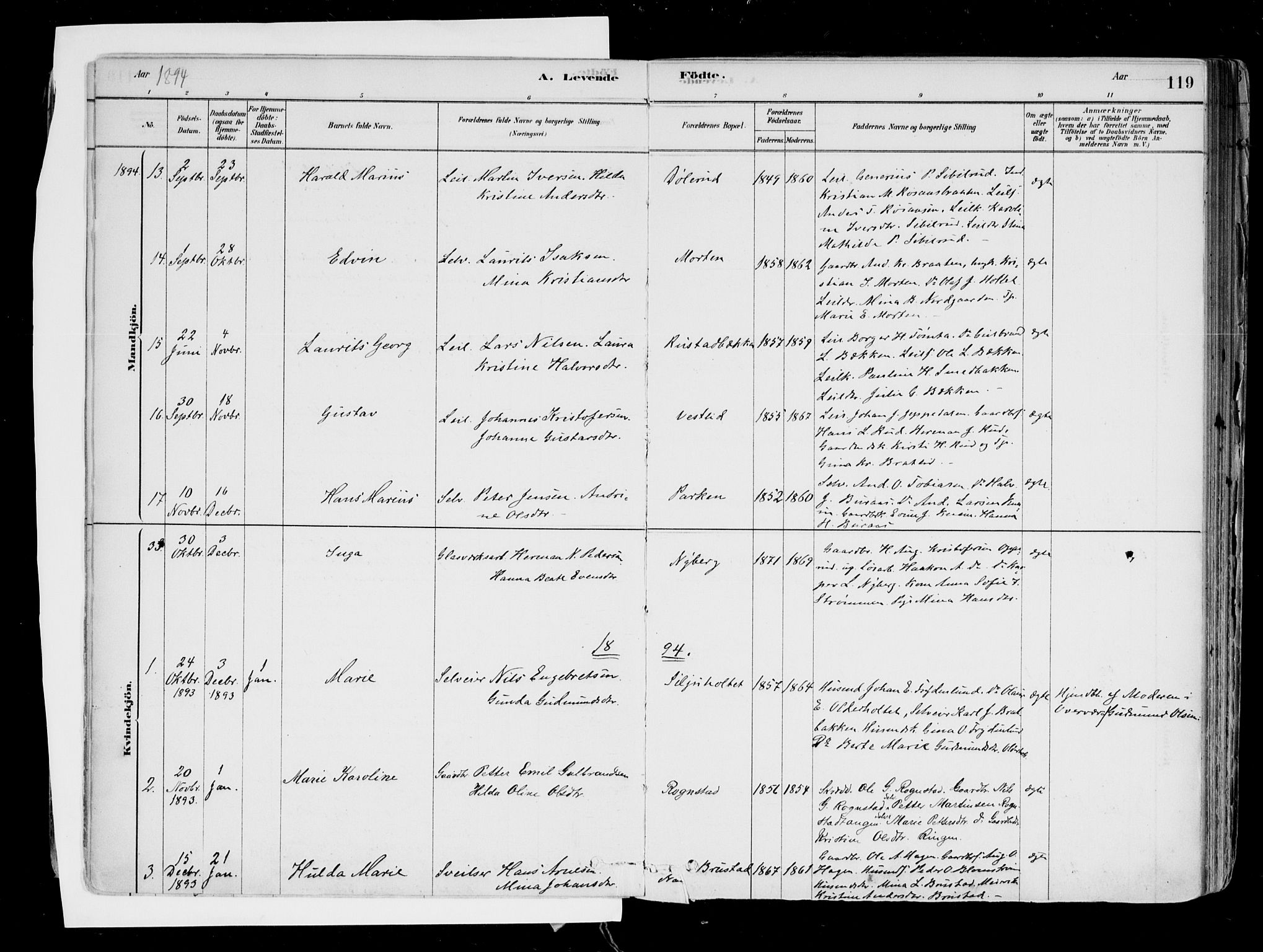 Hurdal prestekontor Kirkebøker, SAO/A-10889/F/Fa/L0007: Parish register (official) no. I 7, 1878-1906, p. 119