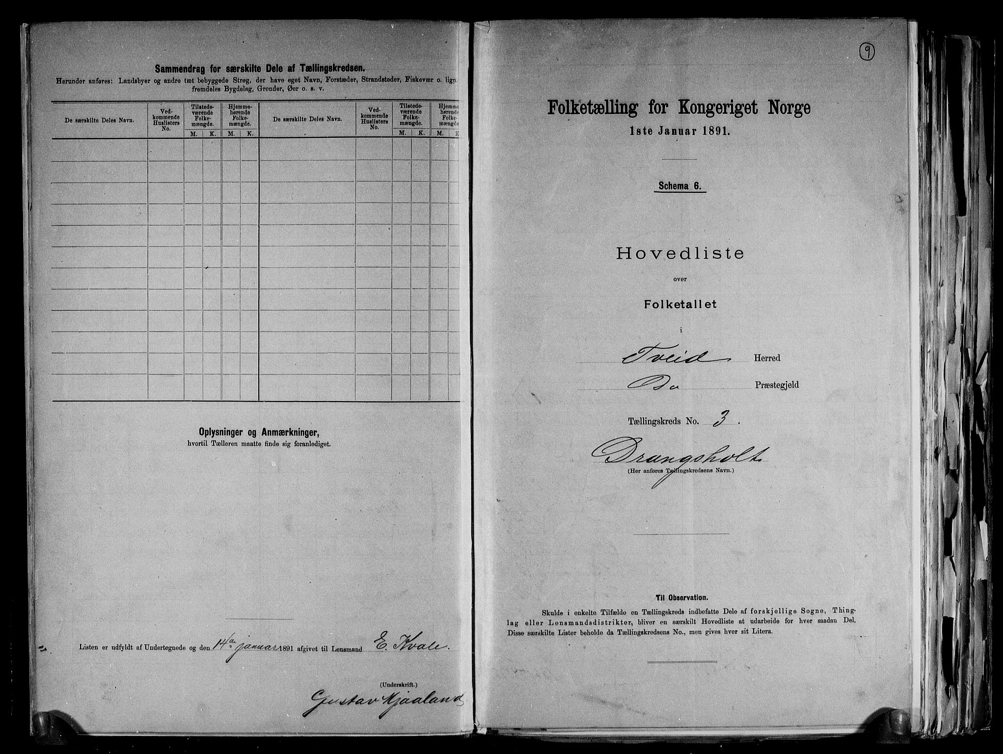 RA, 1891 census for 1013 Tveit, 1891, p. 9