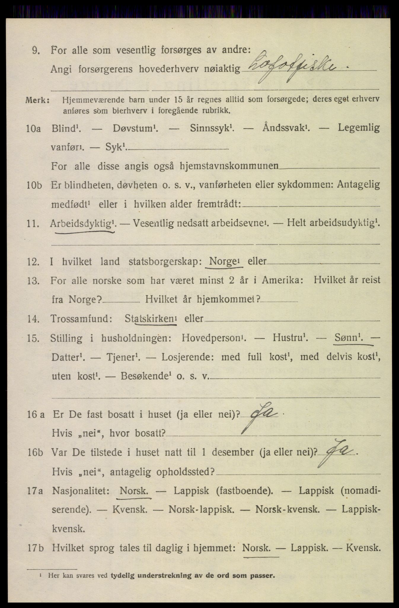 SAT, 1920 census for Borge, 1920, p. 8034