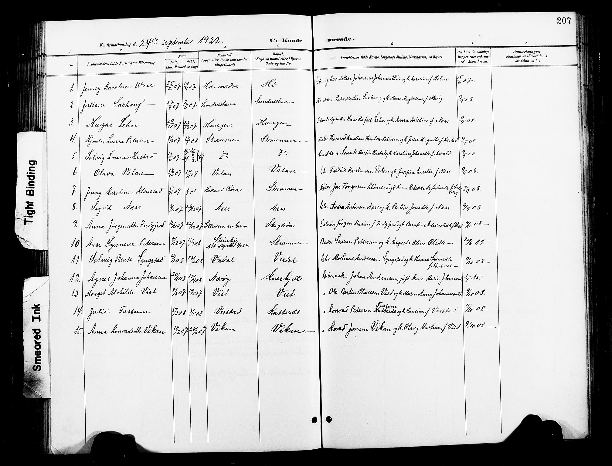 Ministerialprotokoller, klokkerbøker og fødselsregistre - Nord-Trøndelag, SAT/A-1458/730/L0302: Parish register (copy) no. 730C05, 1898-1924, p. 207