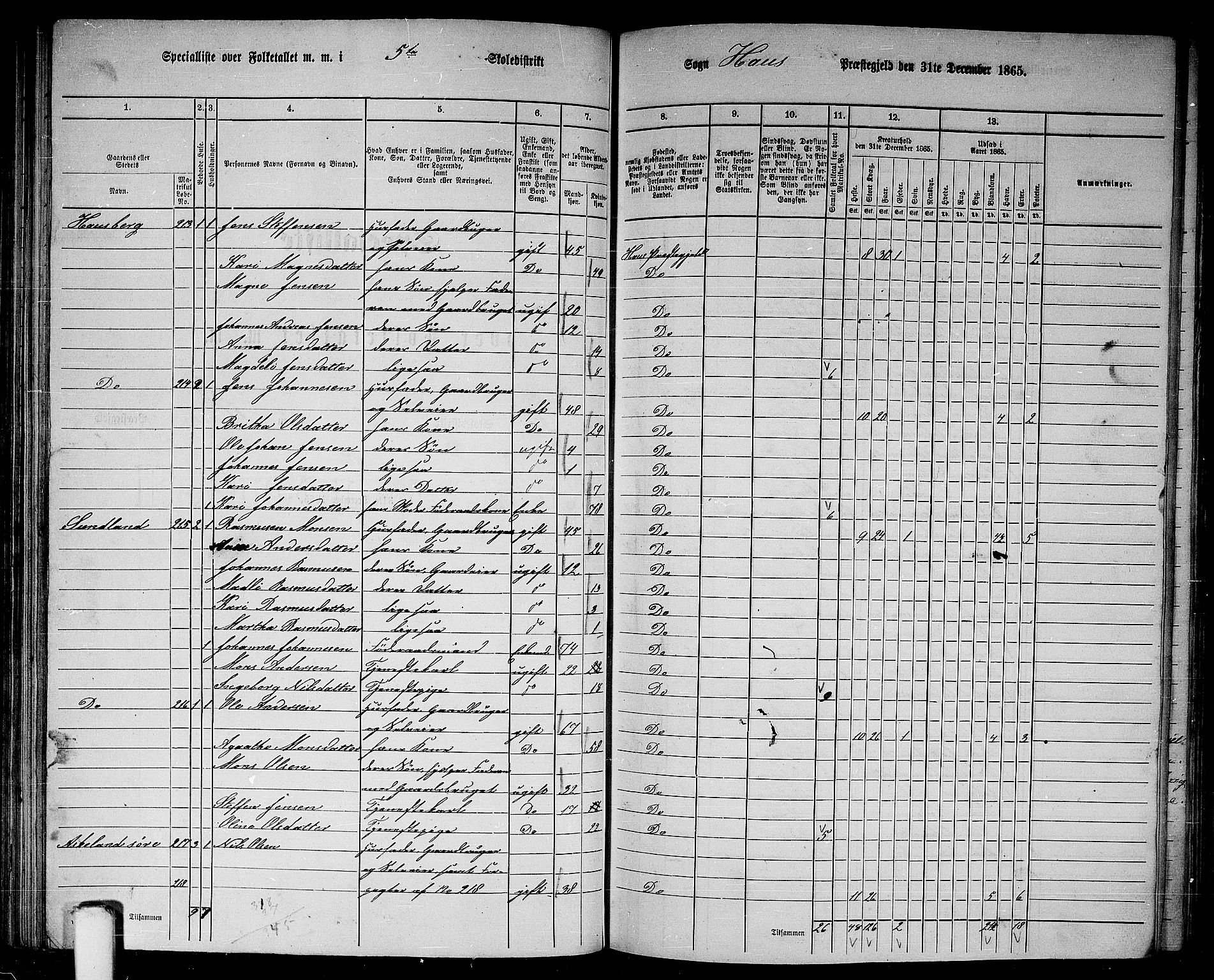 RA, 1865 census for Haus, 1865, p. 106