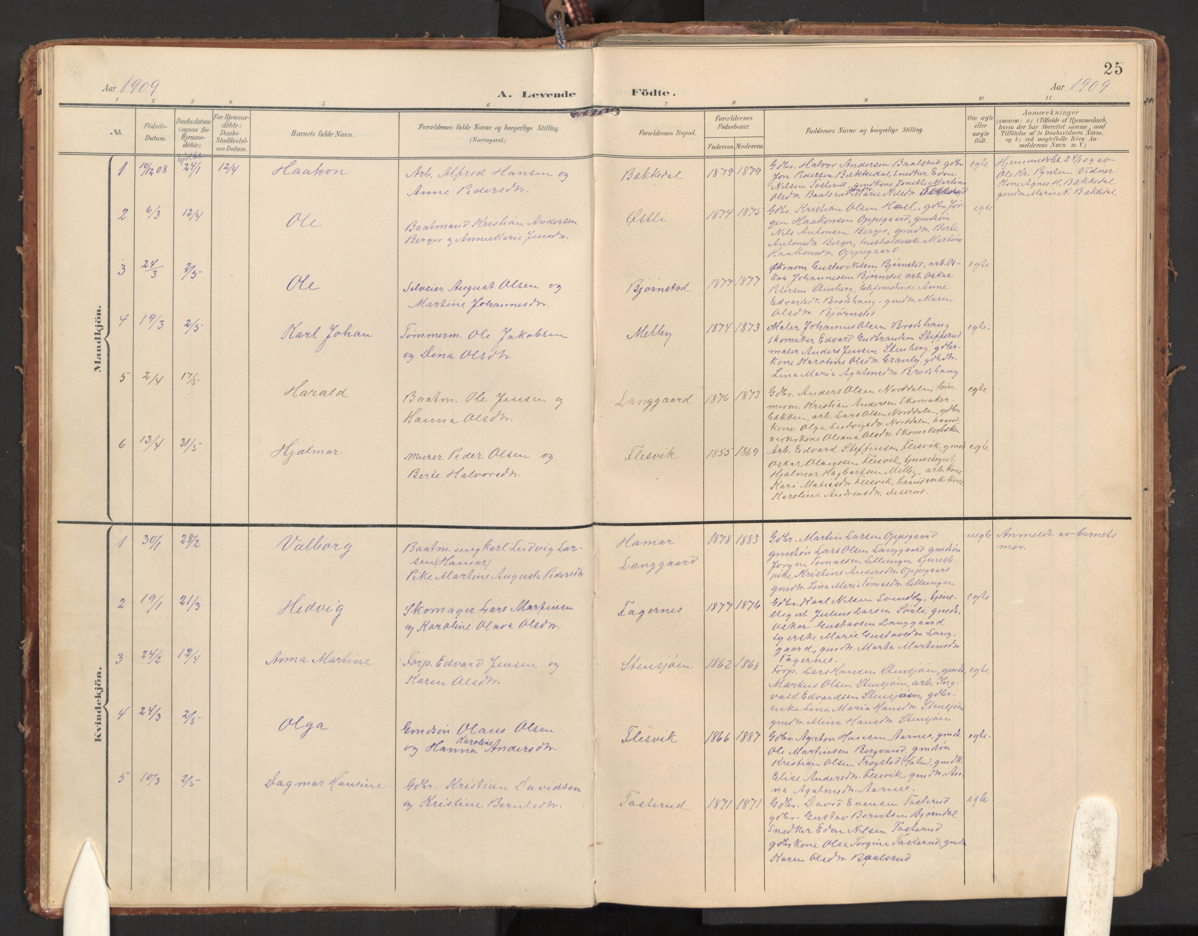 Hurdal prestekontor Kirkebøker, SAO/A-10889/G/Gb/L0001: Parish register (copy) no. II 1, 1902-1939, p. 25