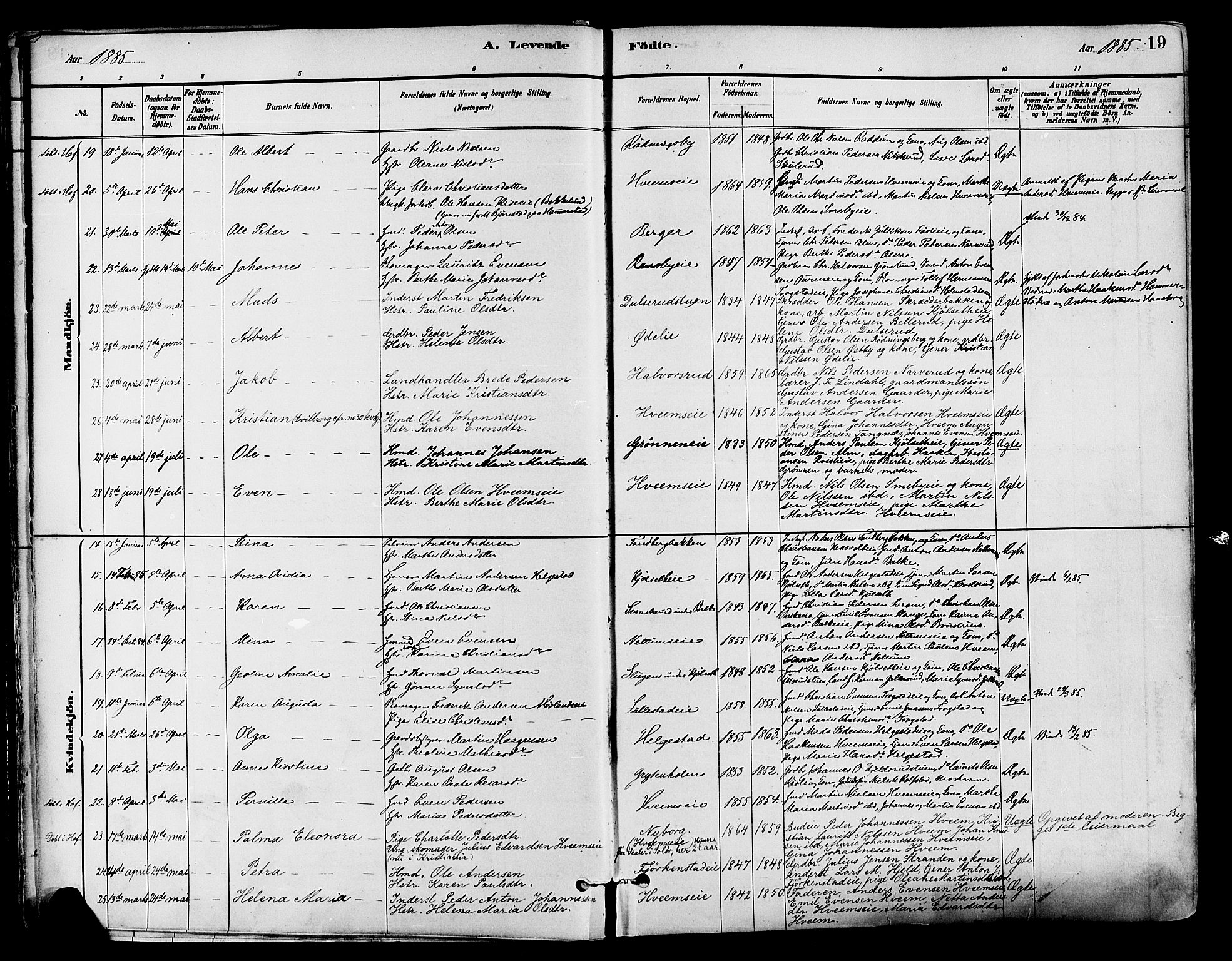 Østre Toten prestekontor, AV/SAH-PREST-104/H/Ha/Haa/L0007: Parish register (official) no. 7, 1881-1896, p. 19