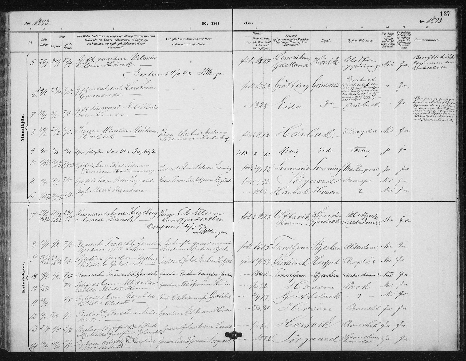 Ministerialprotokoller, klokkerbøker og fødselsregistre - Sør-Trøndelag, AV/SAT-A-1456/656/L0698: Parish register (copy) no. 656C04, 1890-1904, p. 137