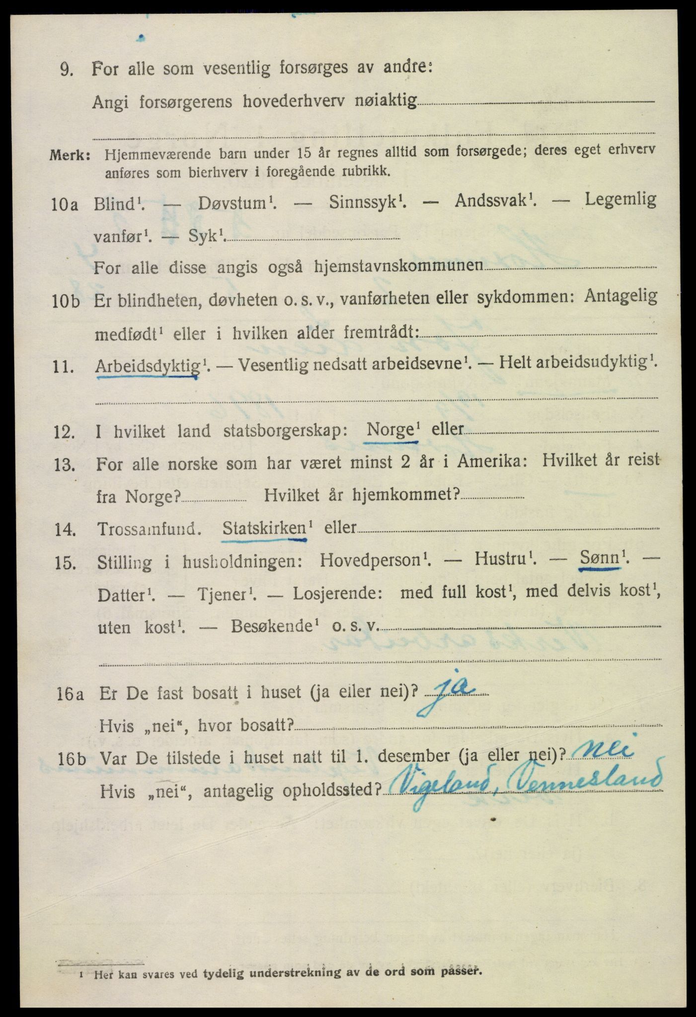 SAK, 1920 census for Hornnes, 1920, p. 1146