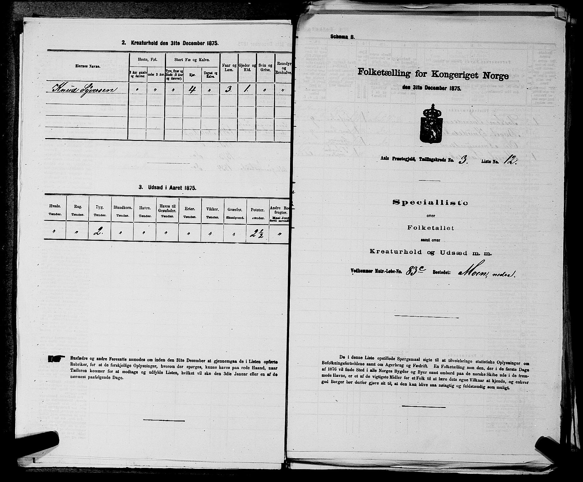 SAKO, 1875 census for 0619P Ål, 1875, p. 339
