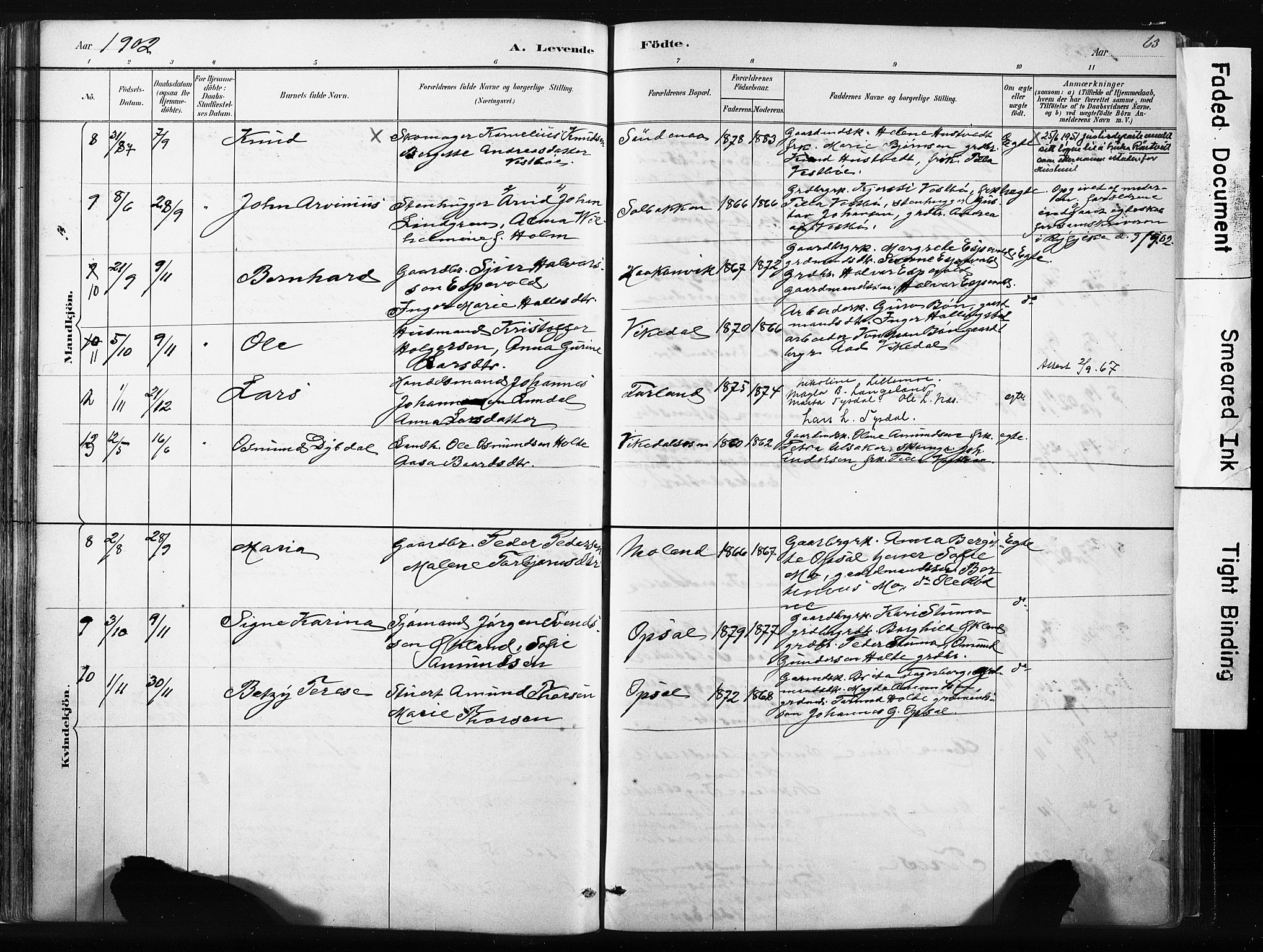Vikedal sokneprestkontor, SAST/A-101840/01/IV: Parish register (official) no. A 10, 1884-1907, p. 63