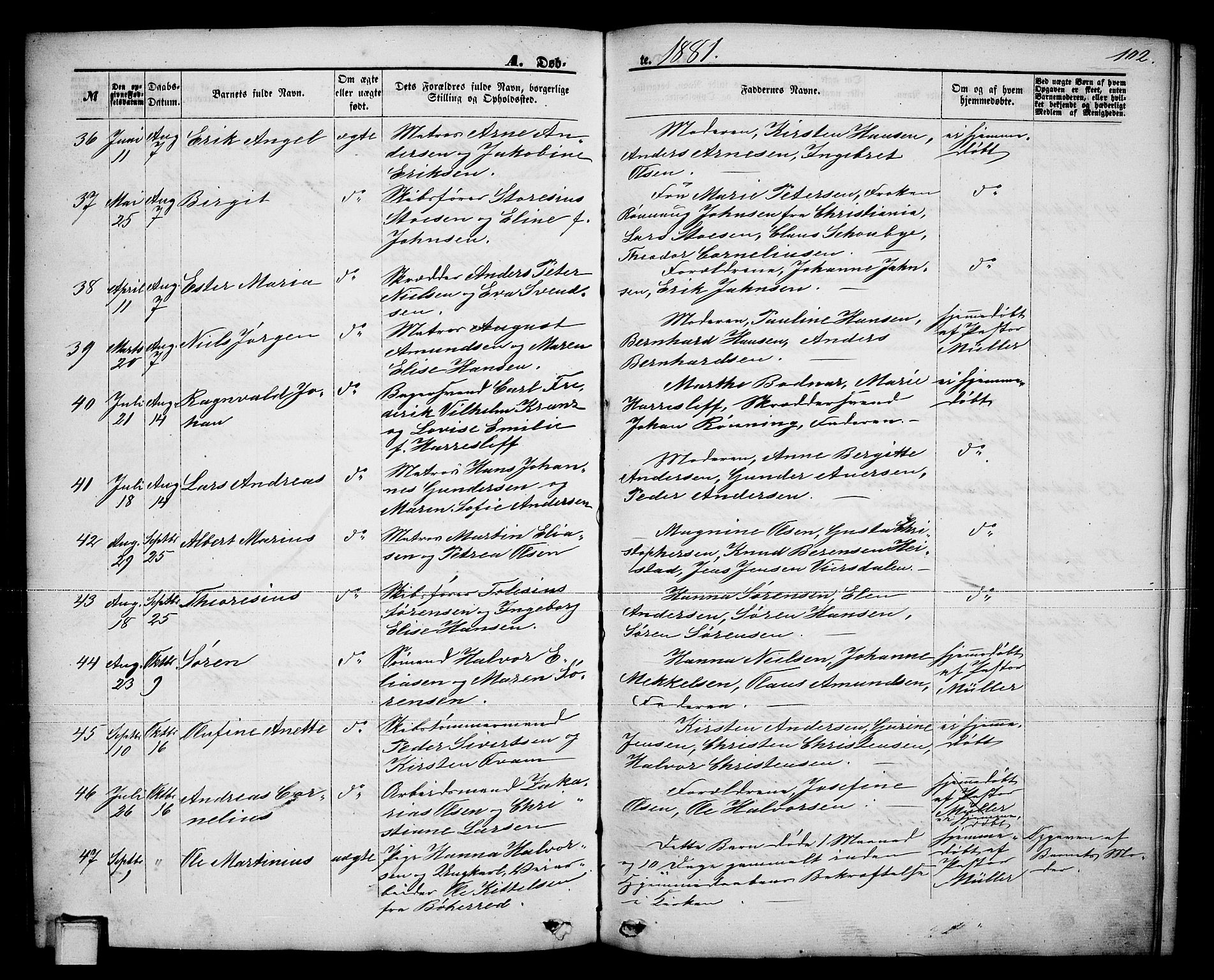 Brevik kirkebøker, AV/SAKO-A-255/G/Ga/L0003: Parish register (copy) no. 3, 1866-1881, p. 102
