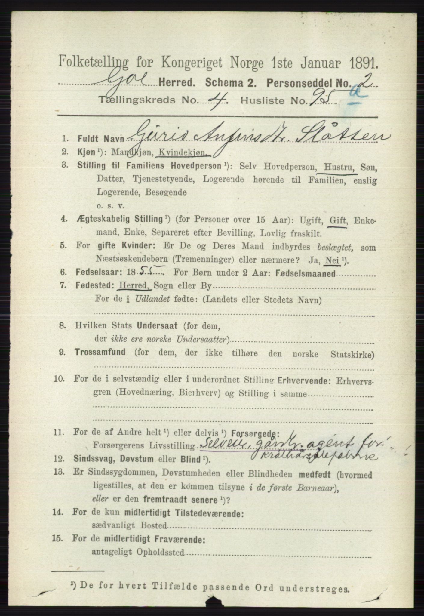 RA, 1891 census for 0617 Gol og Hemsedal, 1891, p. 2287