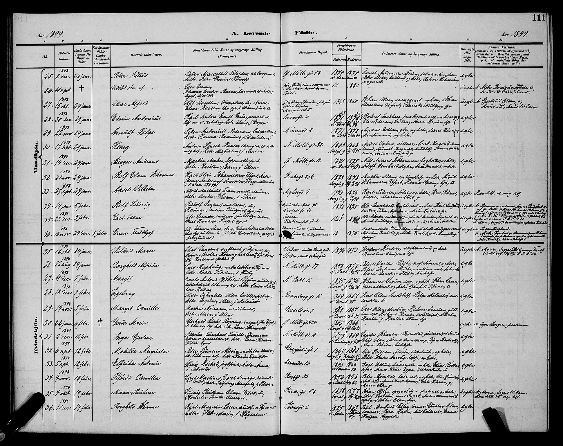 Ministerialprotokoller, klokkerbøker og fødselsregistre - Sør-Trøndelag, SAT/A-1456/604/L0225: Parish register (copy) no. 604C08, 1895-1899, p. 111