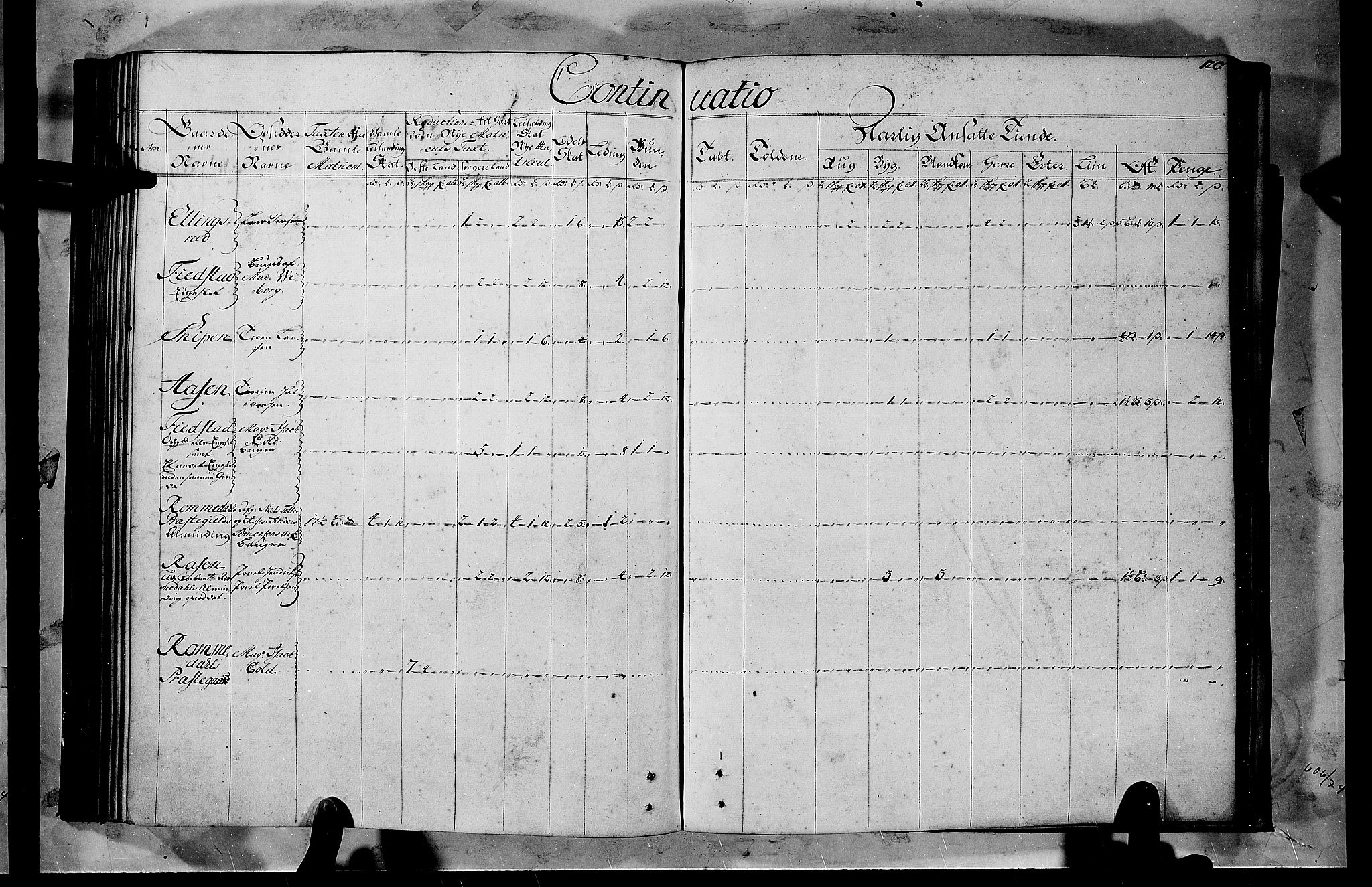 Rentekammeret inntil 1814, Realistisk ordnet avdeling, RA/EA-4070/N/Nb/Nbf/L0103b: Hedmark matrikkelprotokoll, 1723, p. 120b-121a