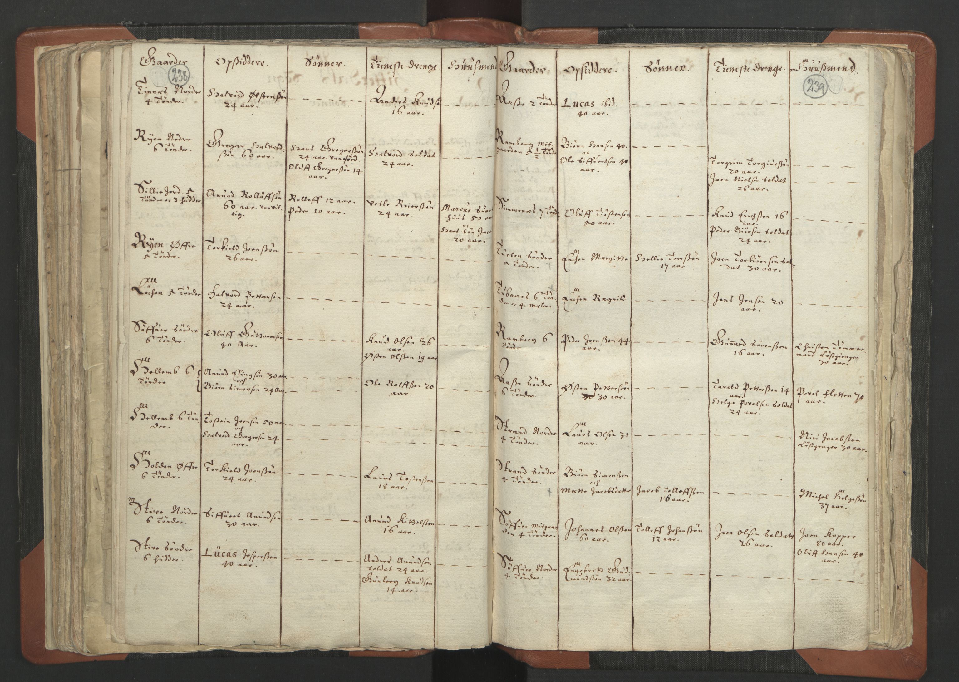 RA, Vicar's Census 1664-1666, no. 12: Øvre Telemark deanery, Nedre Telemark deanery and Bamble deanery, 1664-1666, p. 238-239