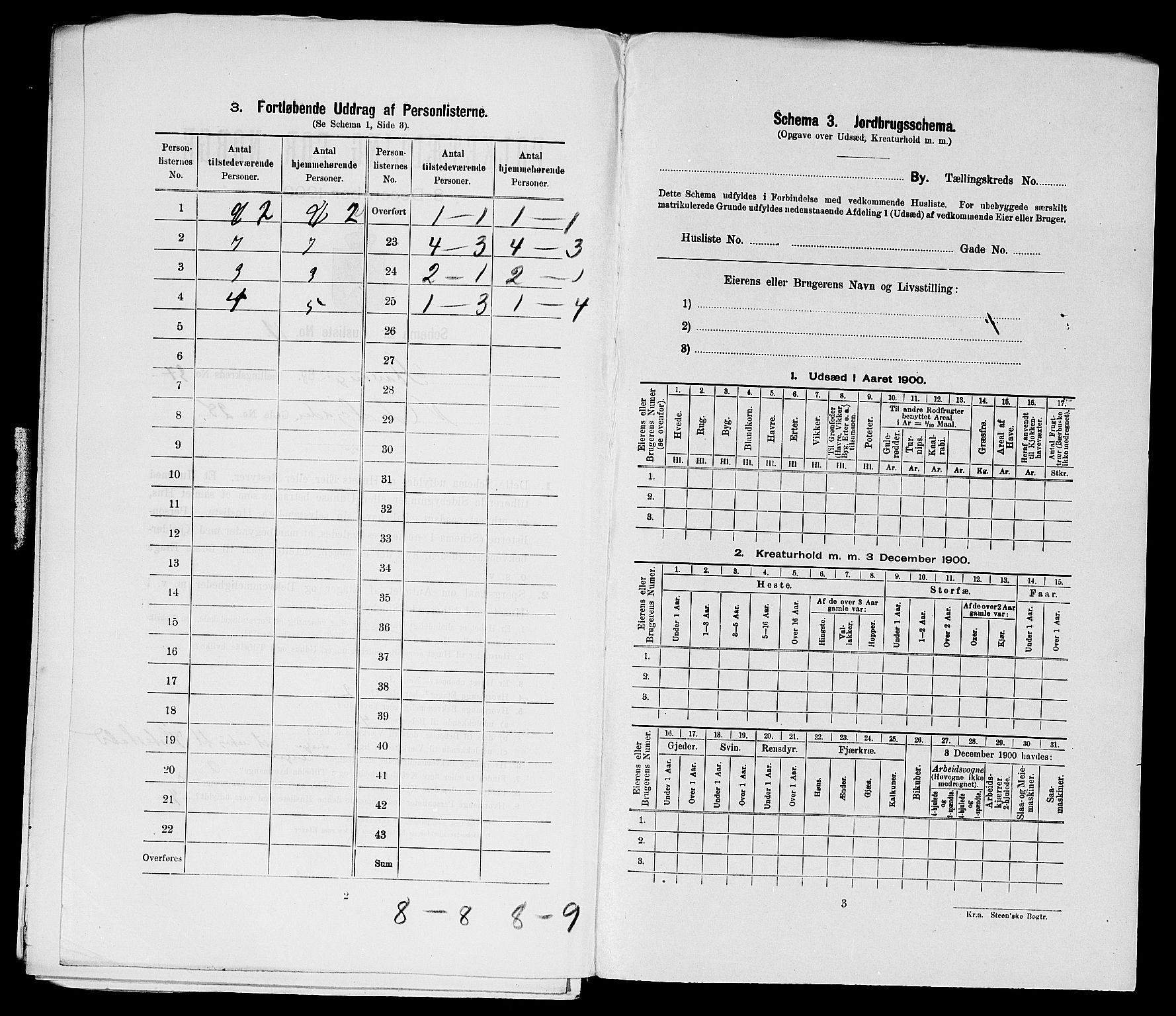 SAST, 1900 census for Stavanger, 1900, p. 13108