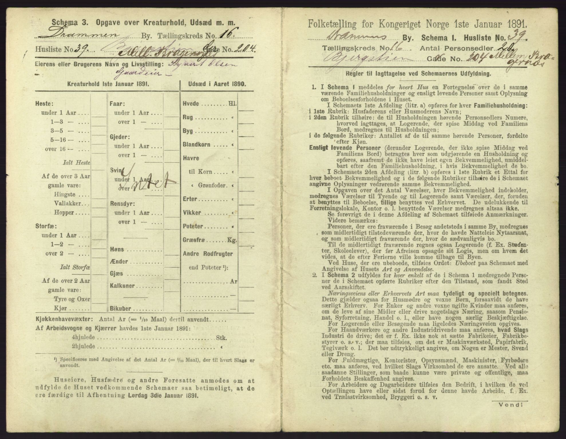 RA, 1891 census for 0602 Drammen, 1891, p. 1393