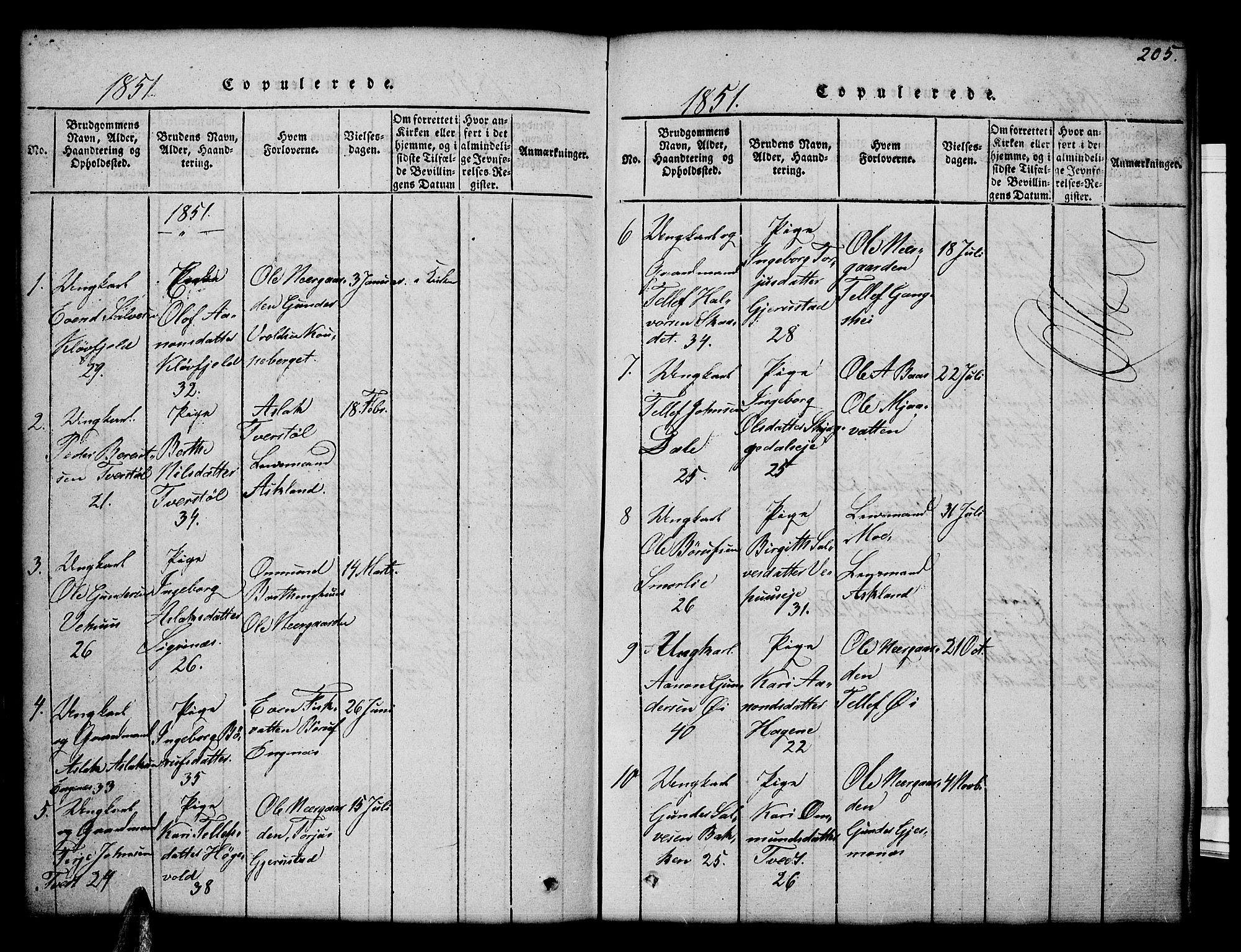 Åmli sokneprestkontor, AV/SAK-1111-0050/F/Fb/Fbc/L0001: Parish register (copy) no. B 1, 1816-1867, p. 205