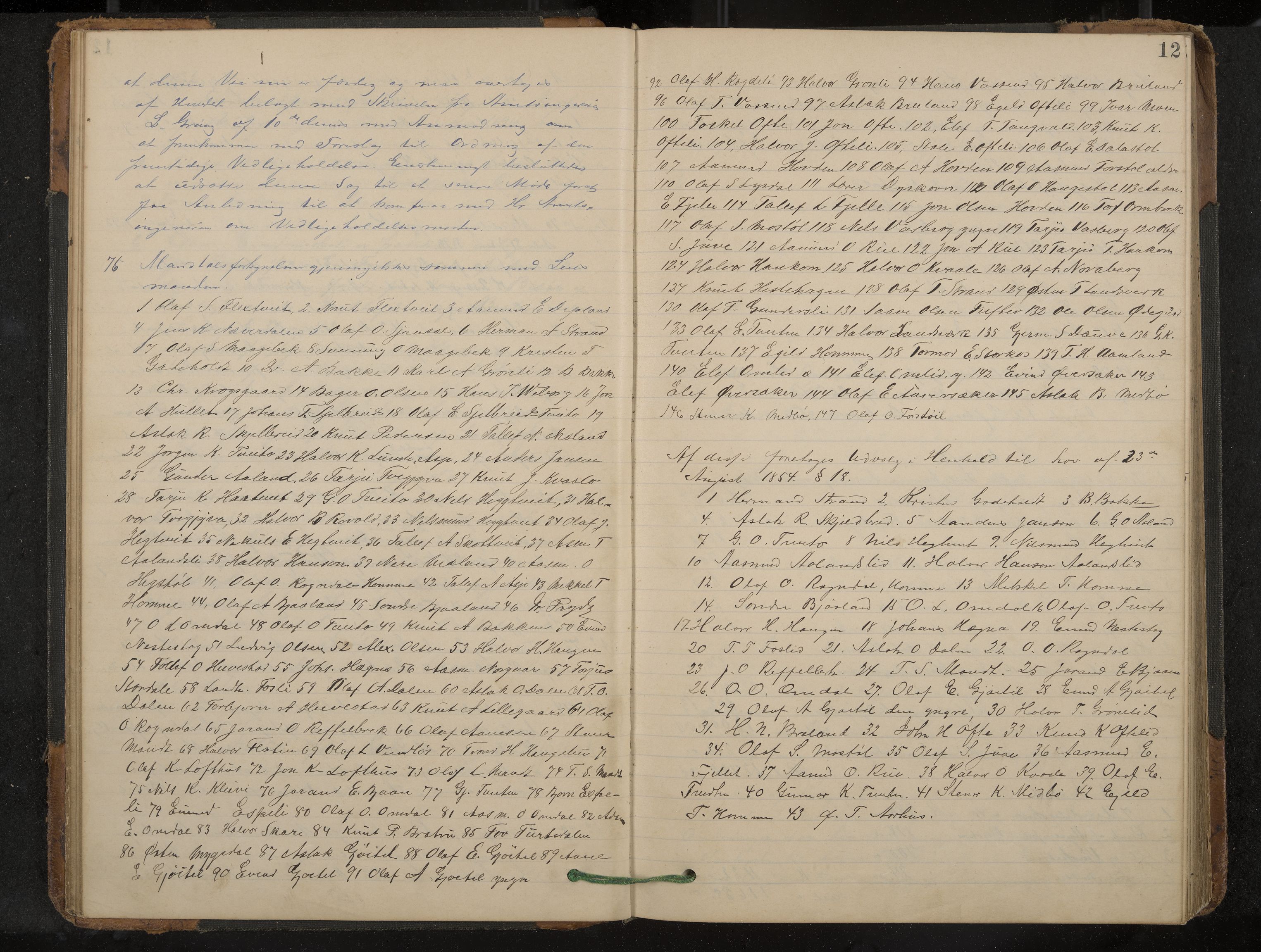 Lårdal formannskap og sentraladministrasjon, IKAK/0833021/A/L0003: Møtebok, 1893-1901, p. 12