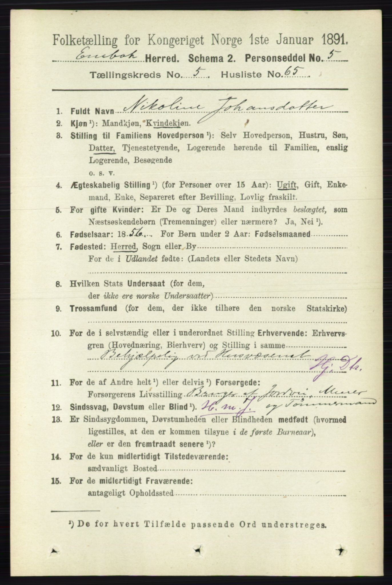 RA, 1891 census for 0229 Enebakk, 1891, p. 2386