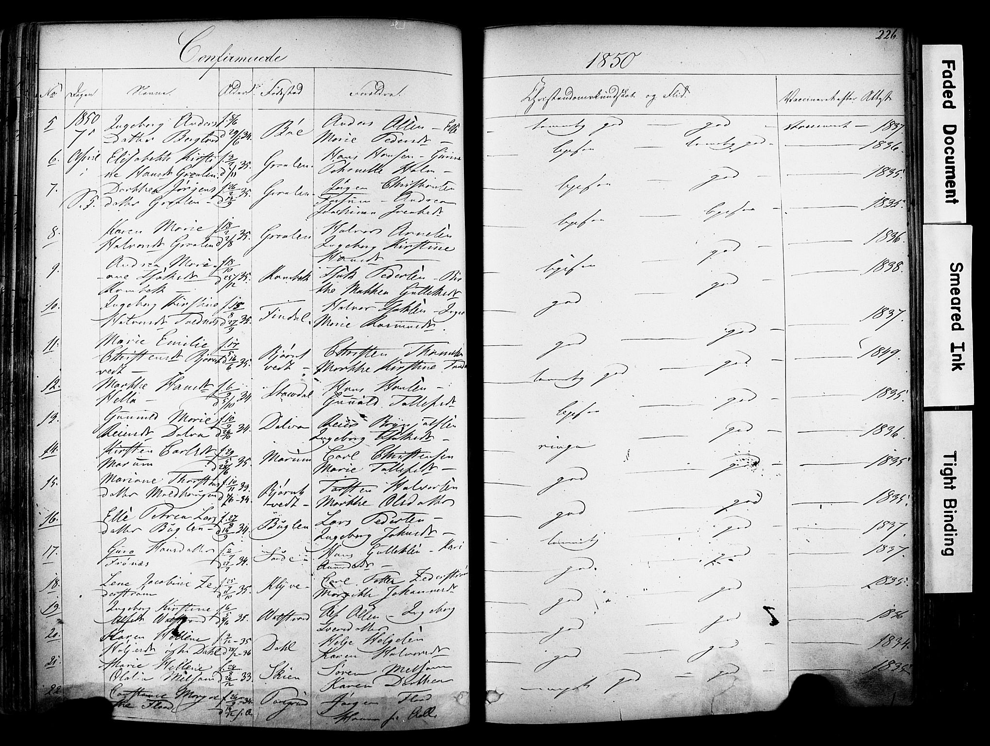 Solum kirkebøker, SAKO/A-306/F/Fa/L0006: Parish register (official) no. I 6, 1844-1855, p. 226