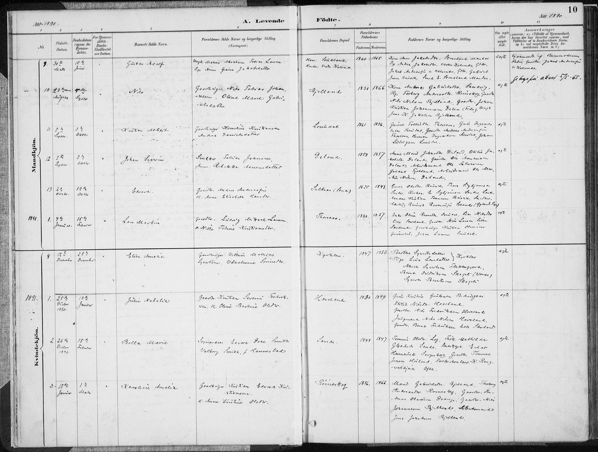 Herad sokneprestkontor, SAK/1111-0018/F/Fa/Faa/L0006: Parish register (official) no. A 6, 1887-1907, p. 10