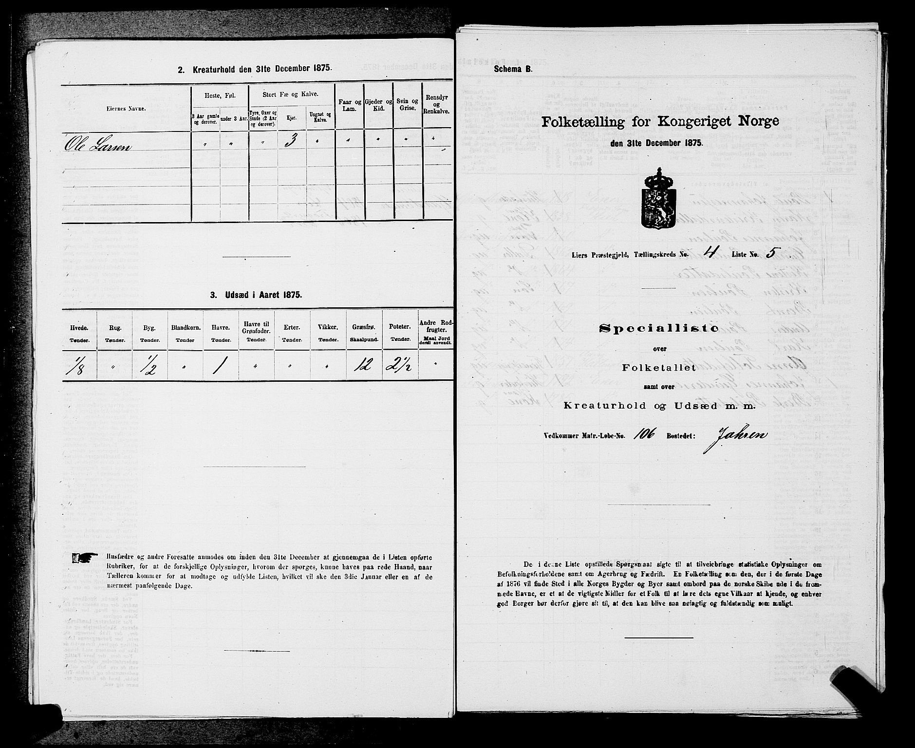 SAKO, 1875 census for 0626P Lier, 1875, p. 706