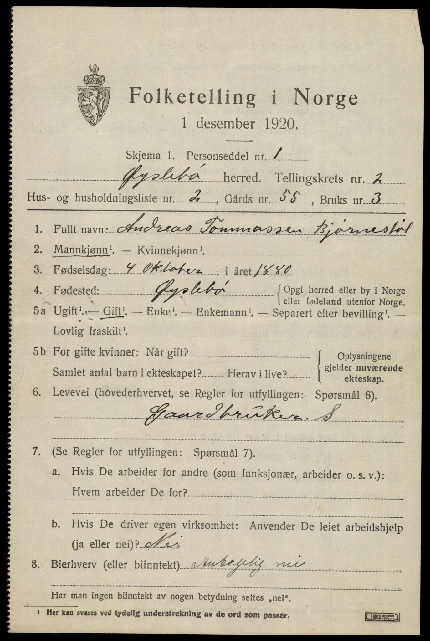 SAK, 1920 census for Øyslebø, 1920, p. 738