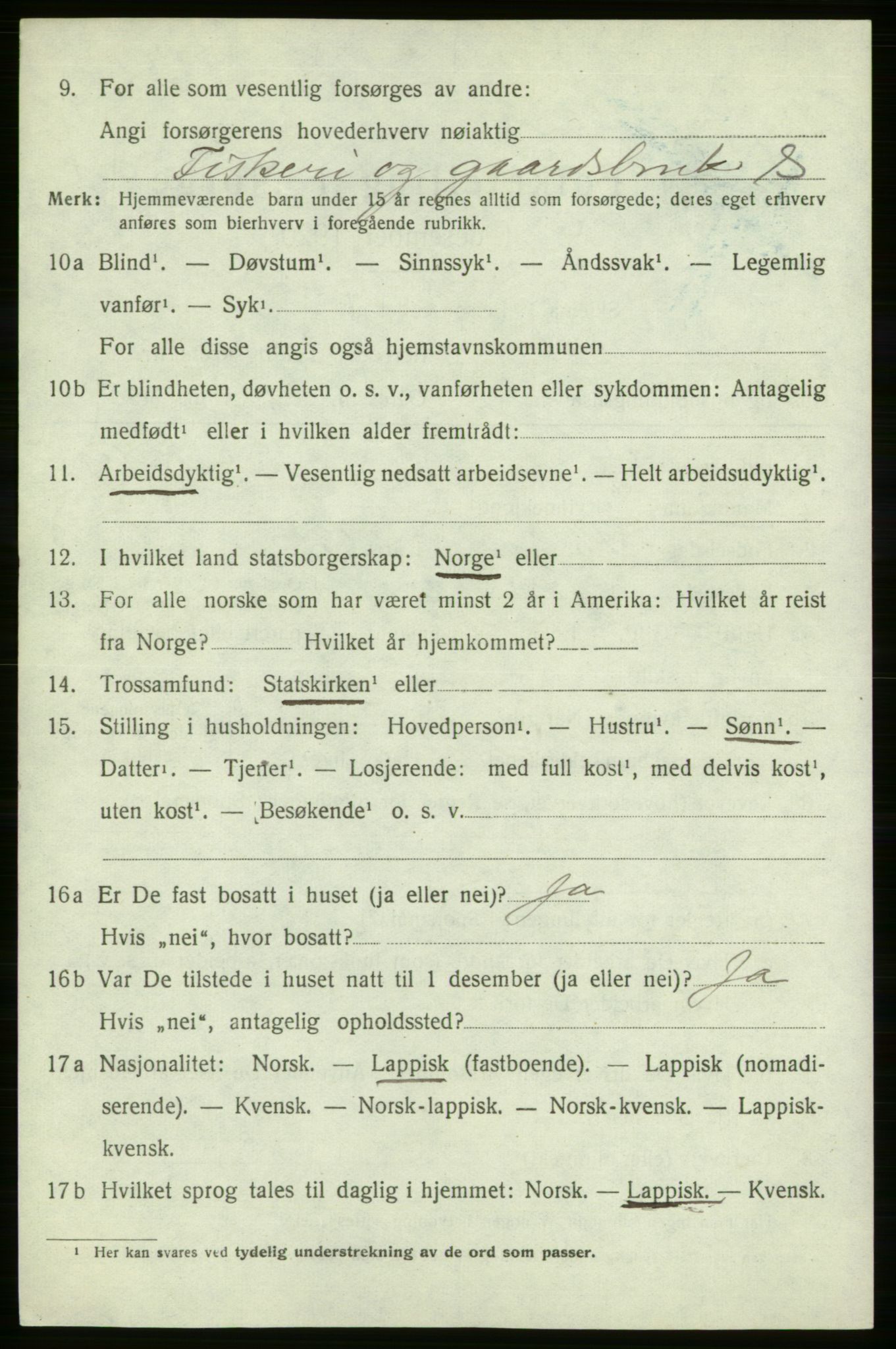 SATØ, 1920 census for , 1920, p. 1315