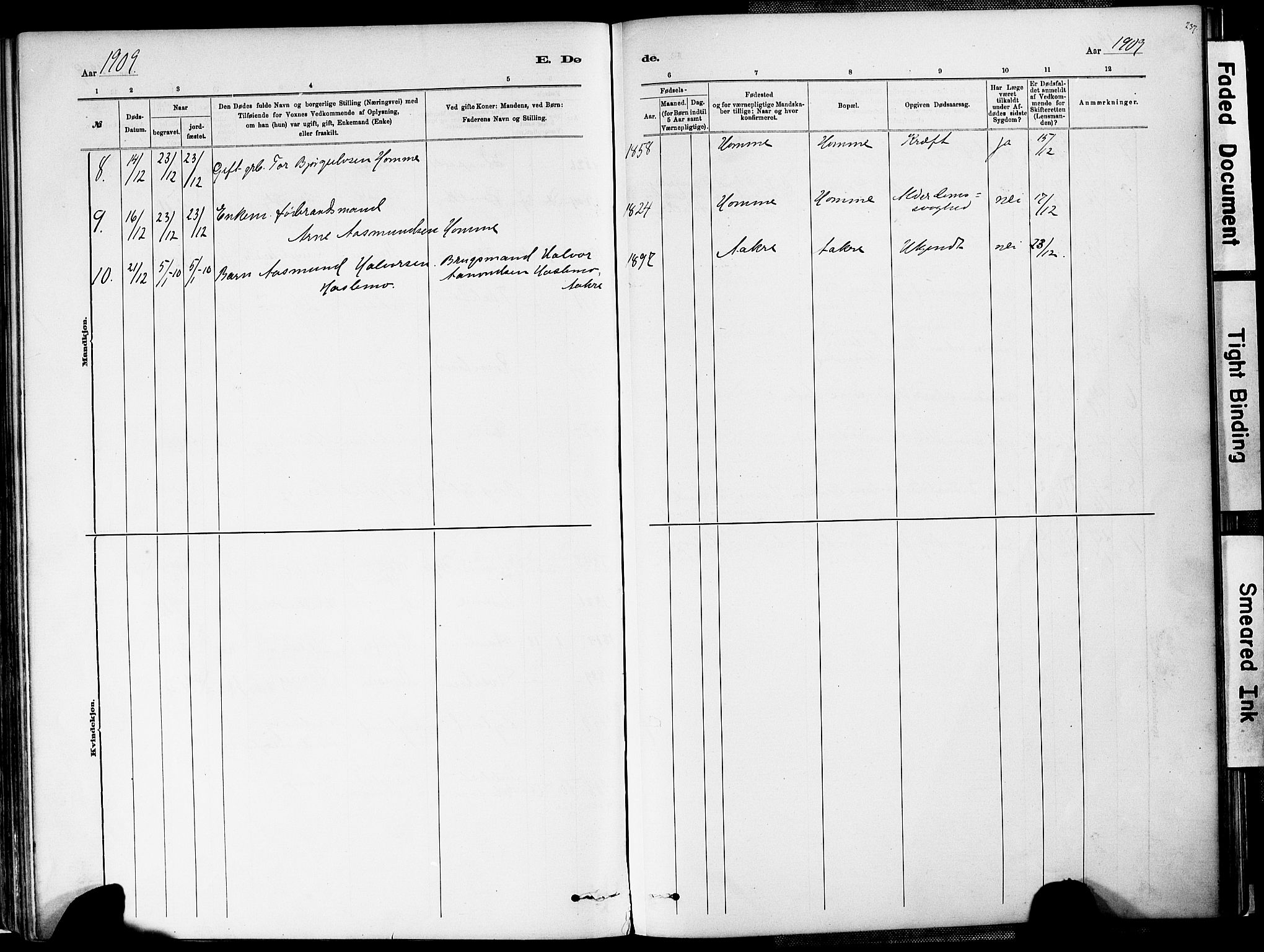 Valle sokneprestkontor, AV/SAK-1111-0044/F/Fa/Fac/L0009: Parish register (official) no. A 9, 1882-1913, p. 237