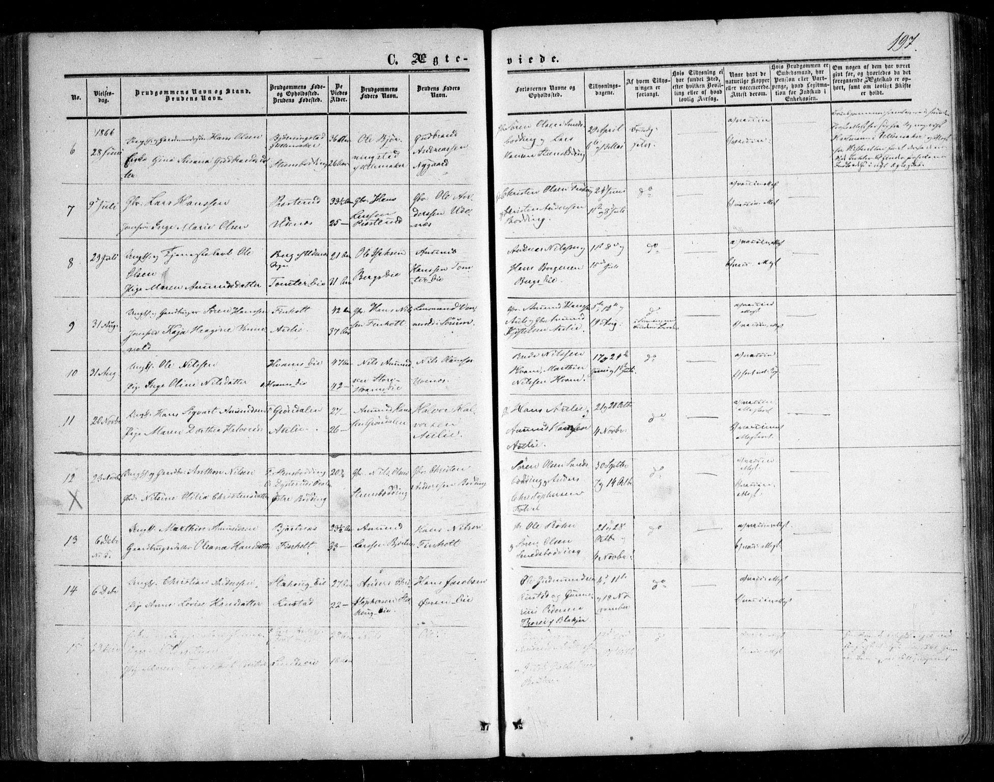 Nes prestekontor Kirkebøker, AV/SAO-A-10410/F/Fc/L0001: Parish register (official) no. III 1, 1859-1882, p. 197