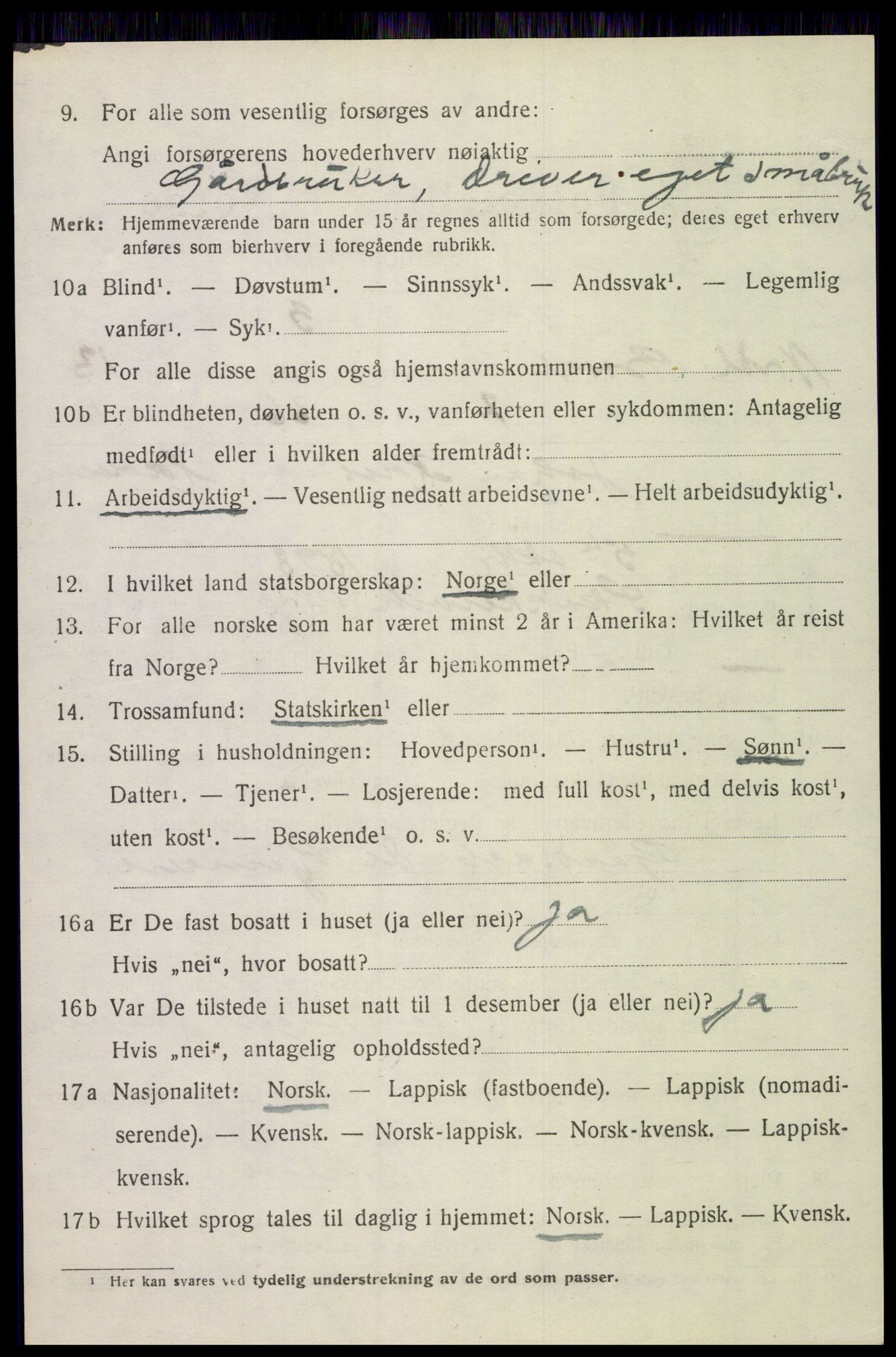 SAT, 1920 census for Borge, 1920, p. 10310