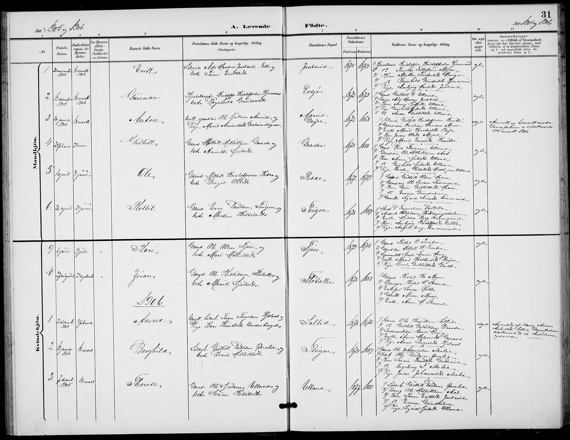 Flesberg kirkebøker, AV/SAKO-A-18/G/Ga/L0005: Parish register (copy) no. I 5, 1899-1908, p. 31