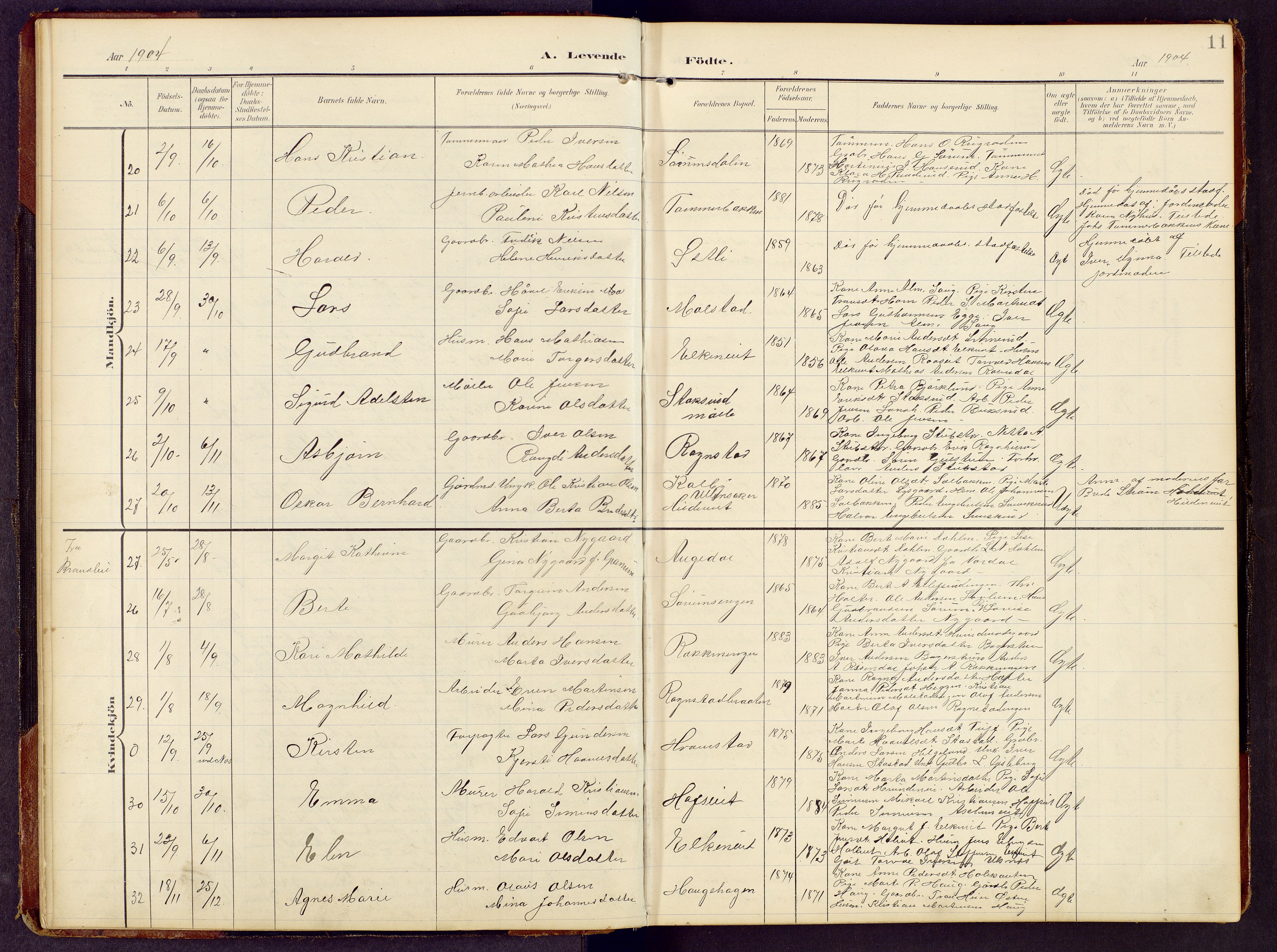 Brandbu prestekontor, SAH/PREST-114/H/Ha/Hab/L0009: Parish register (copy) no. 9, 1903-1916, p. 11