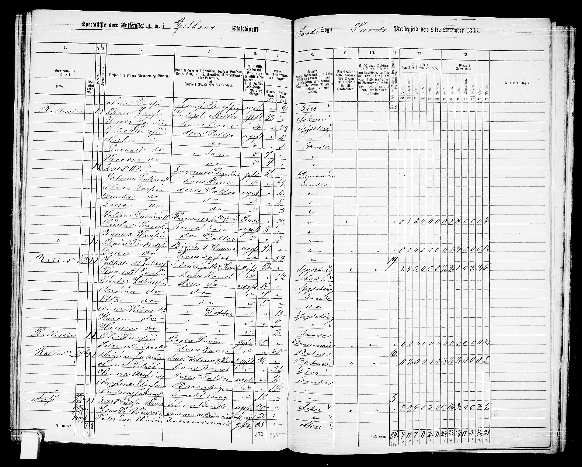 RA, 1865 census for Sande, 1865, p. 105