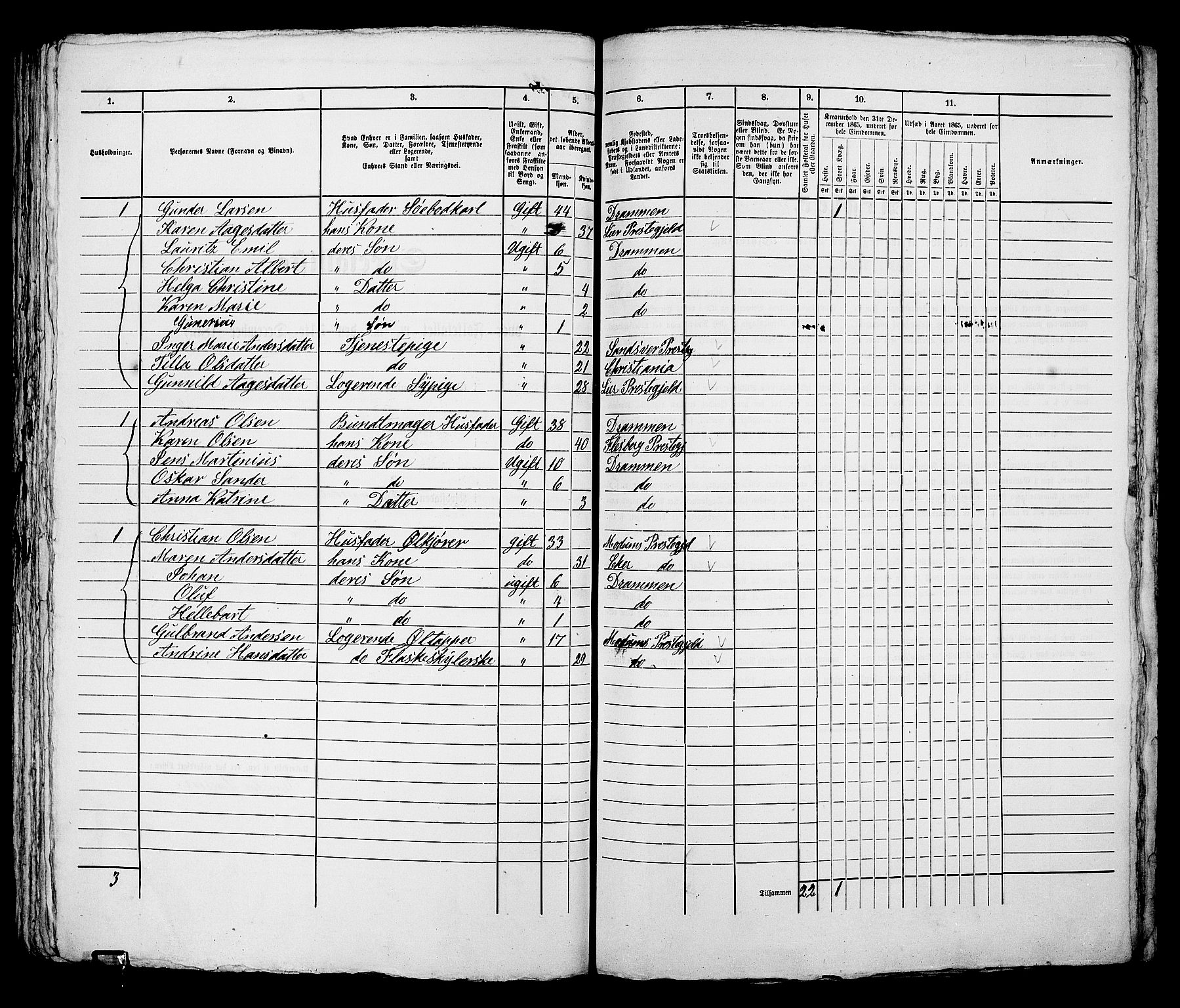 RA, 1865 census for Bragernes in Drammen, 1865, p. 224