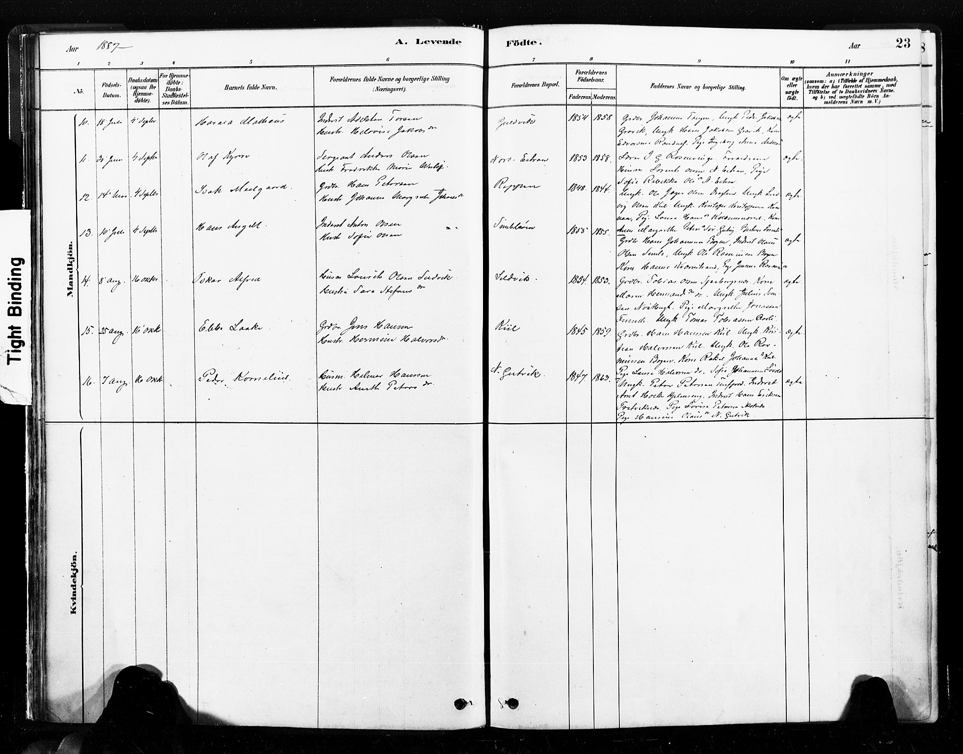Ministerialprotokoller, klokkerbøker og fødselsregistre - Nord-Trøndelag, SAT/A-1458/789/L0705: Parish register (official) no. 789A01, 1878-1910, p. 23