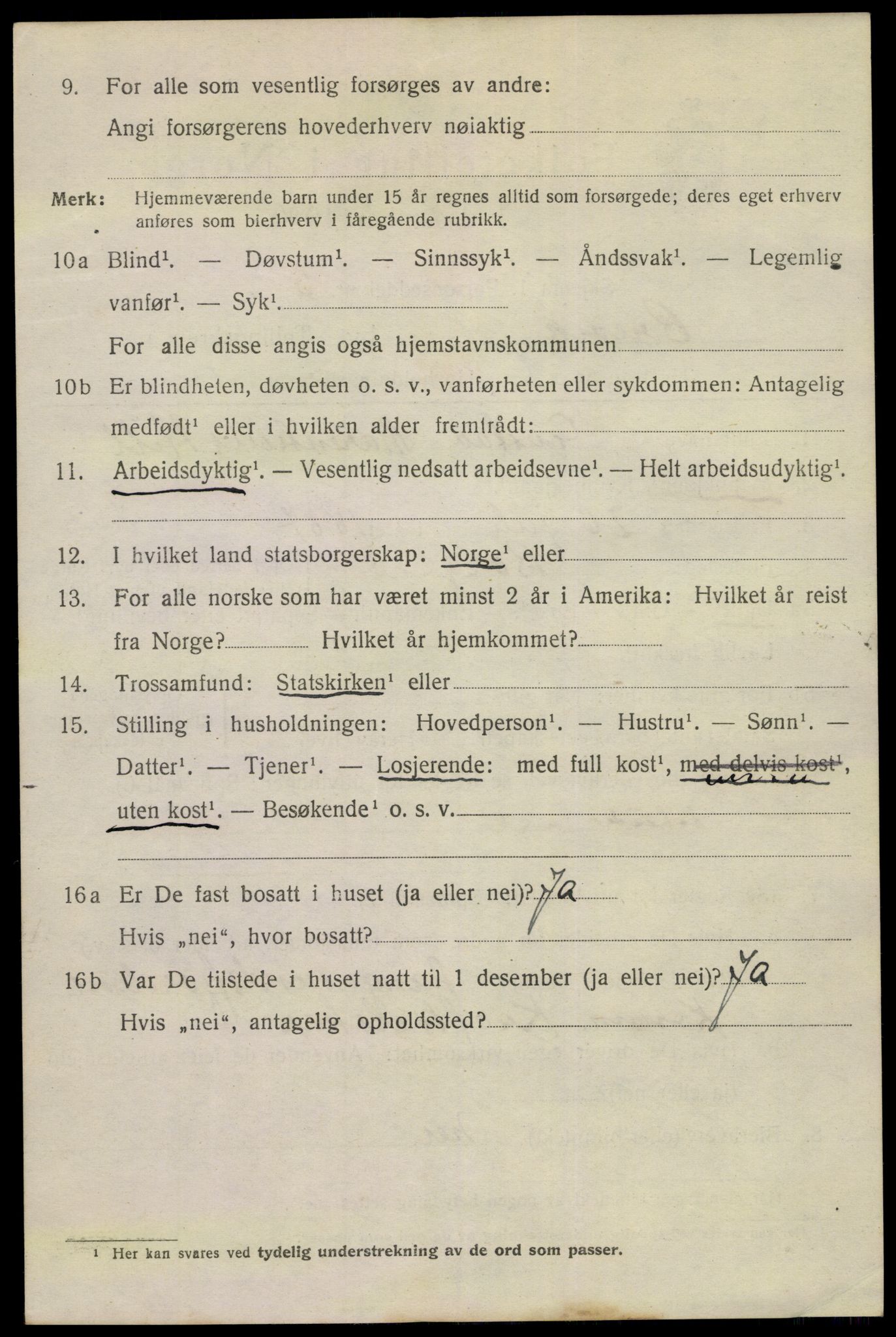 SAKO, 1920 census for Brevik, 1920, p. 6037